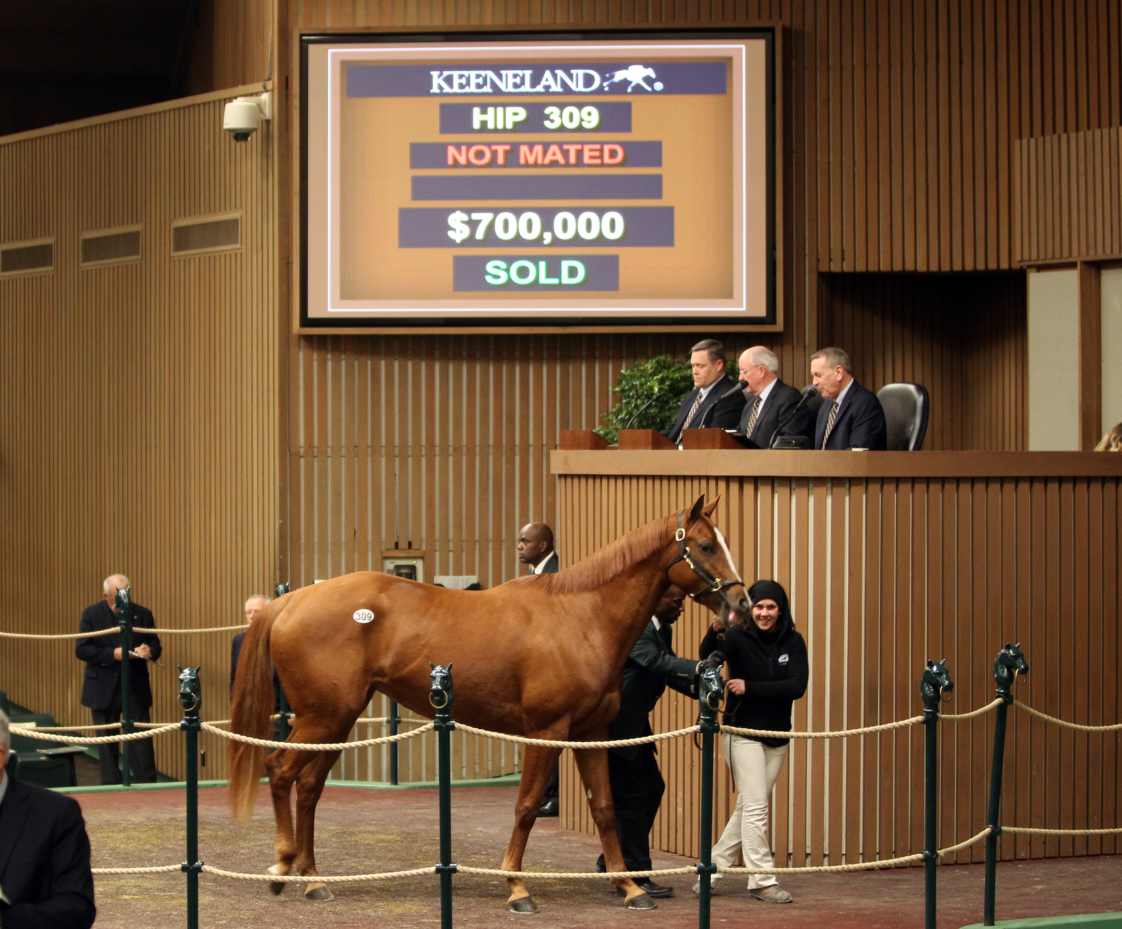 Delightful Joy sells at the Keeneland January Sale