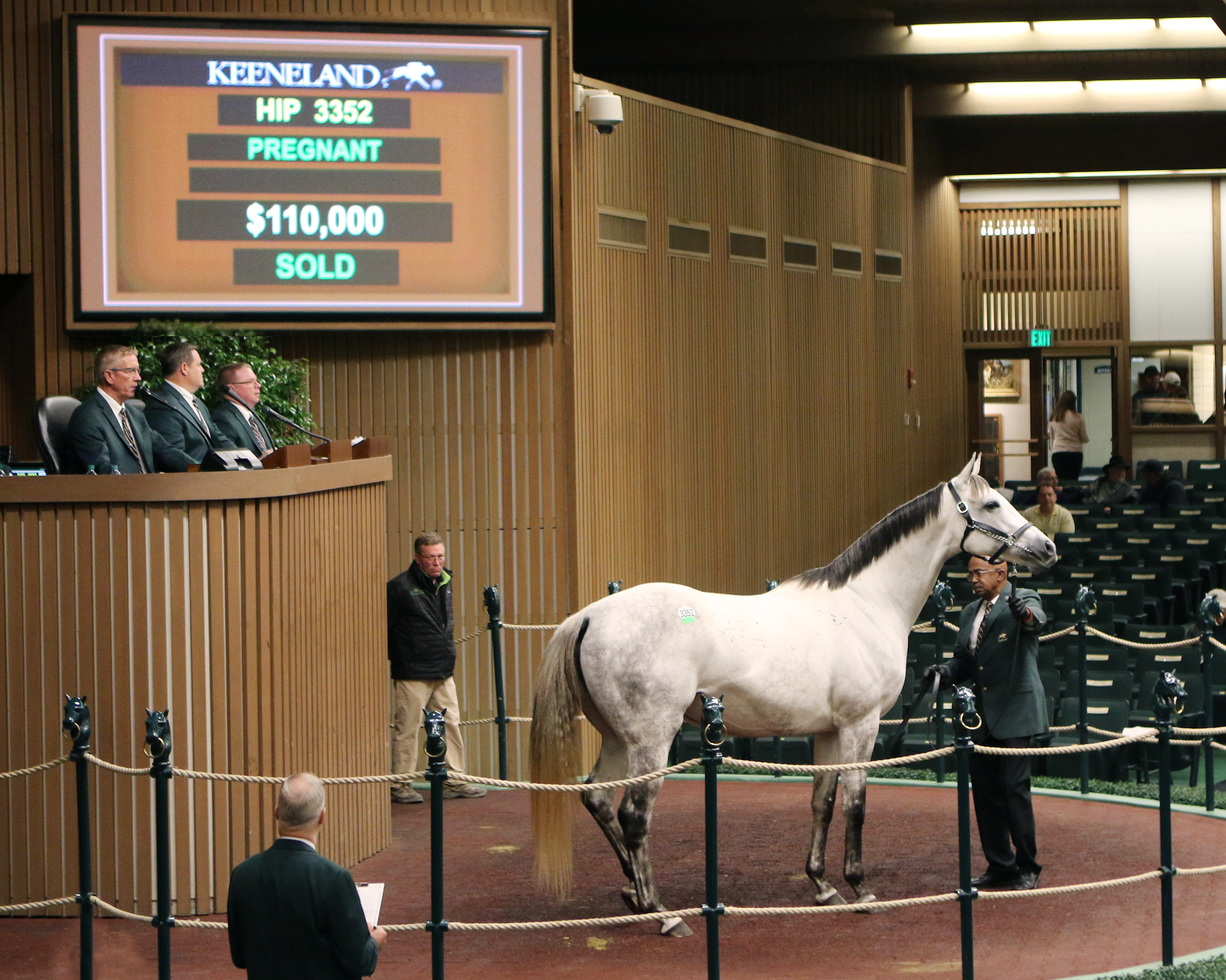 Camryn's Gem sells for $110,000 at the Keeneland November breeding stock sale