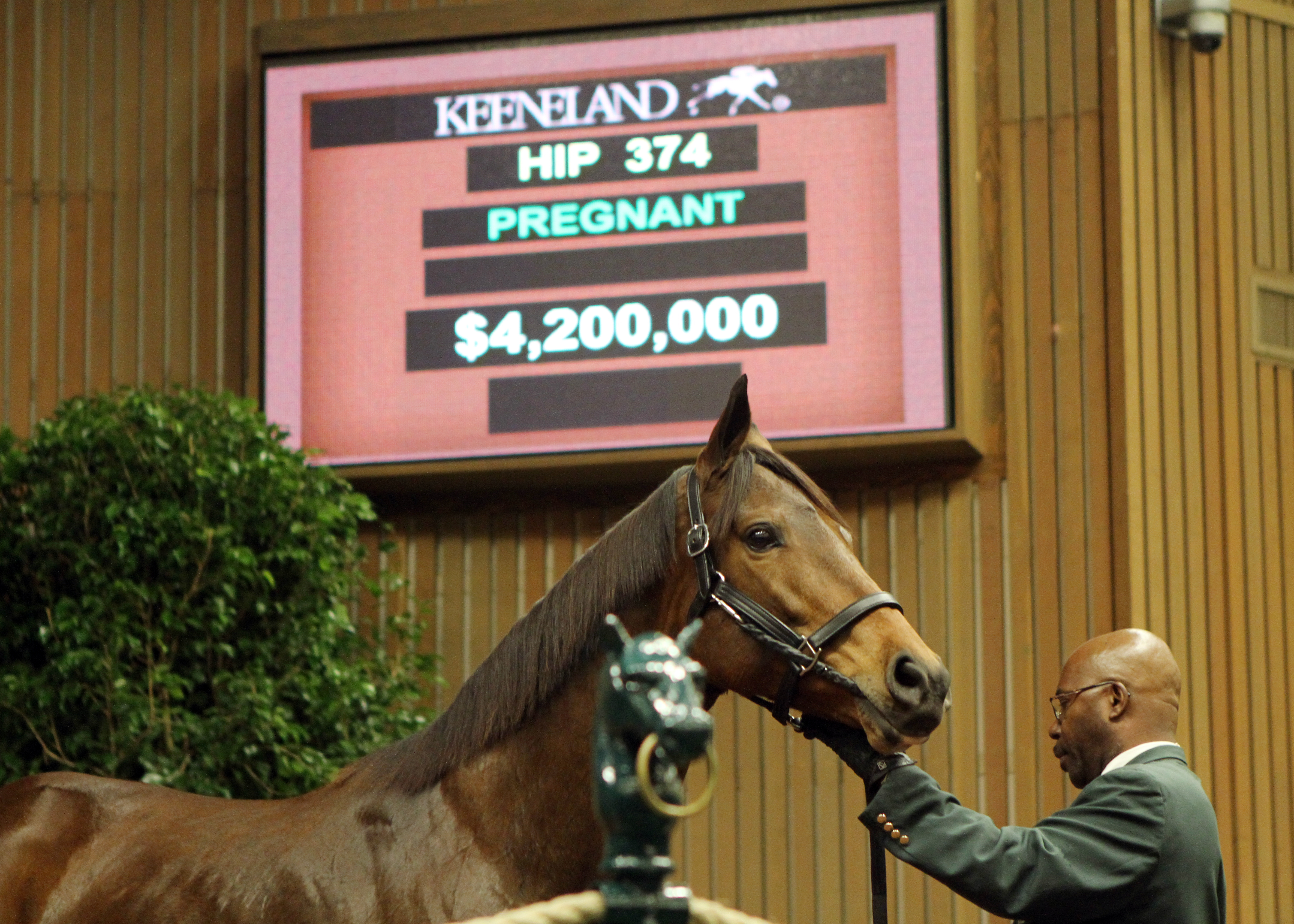 Changing Skies at the Keeneland Autumn Sale