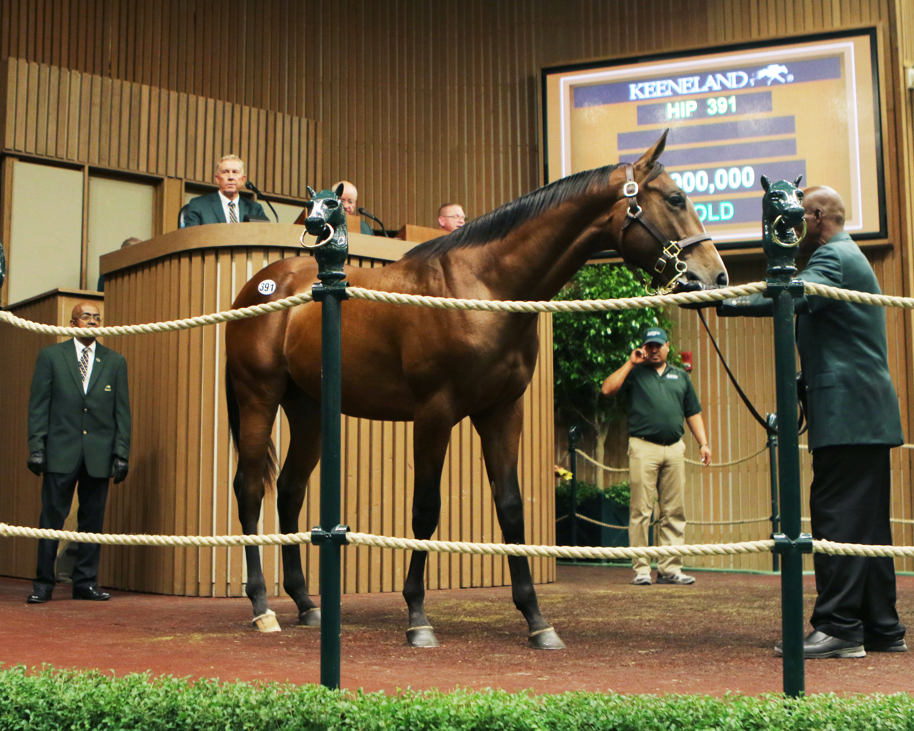 A Cairo Prince/Kittery Point colt sells for $900,000 at the Keeneland September Yearling Sale