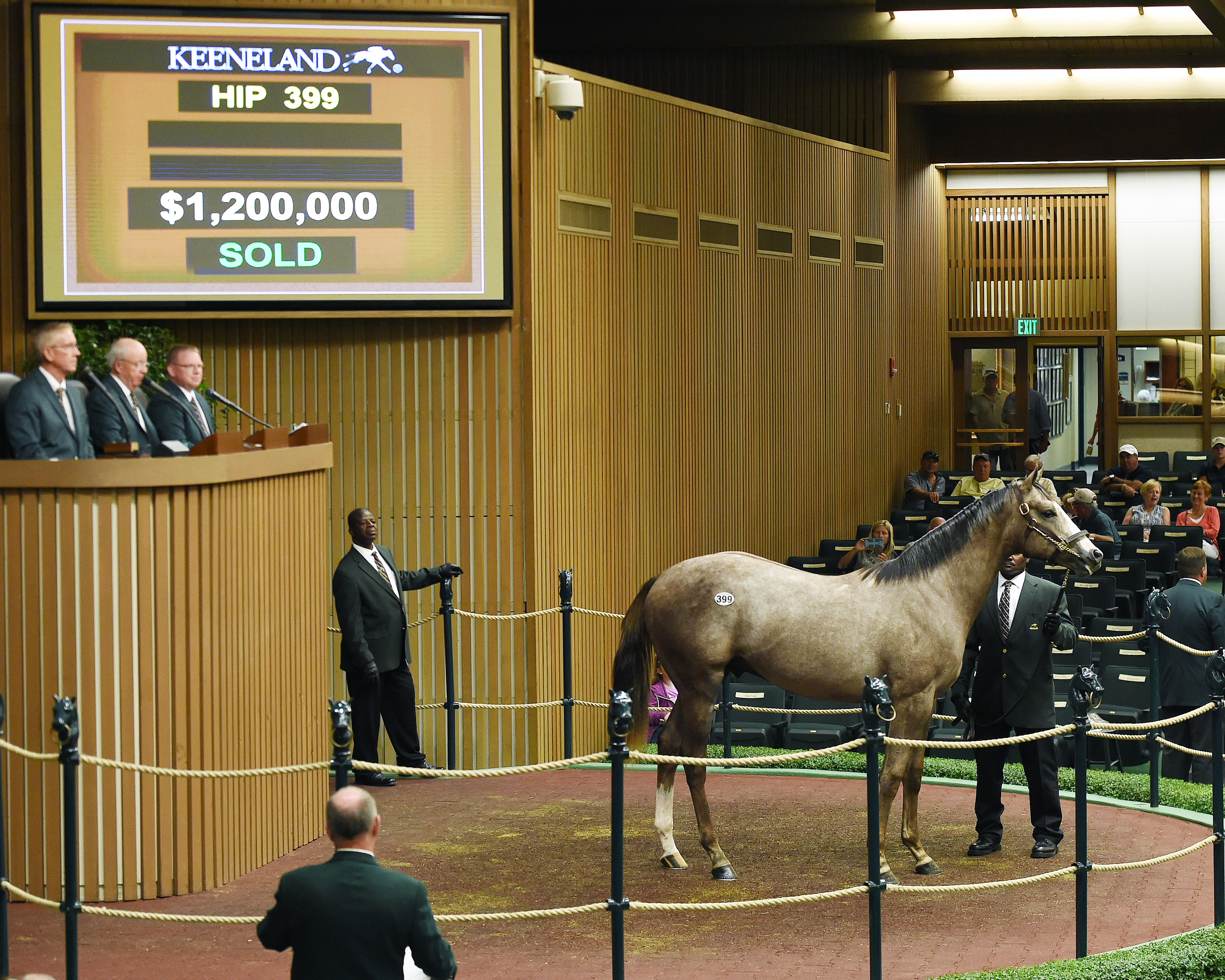 Keeneland sale Tapit colt Hip 399