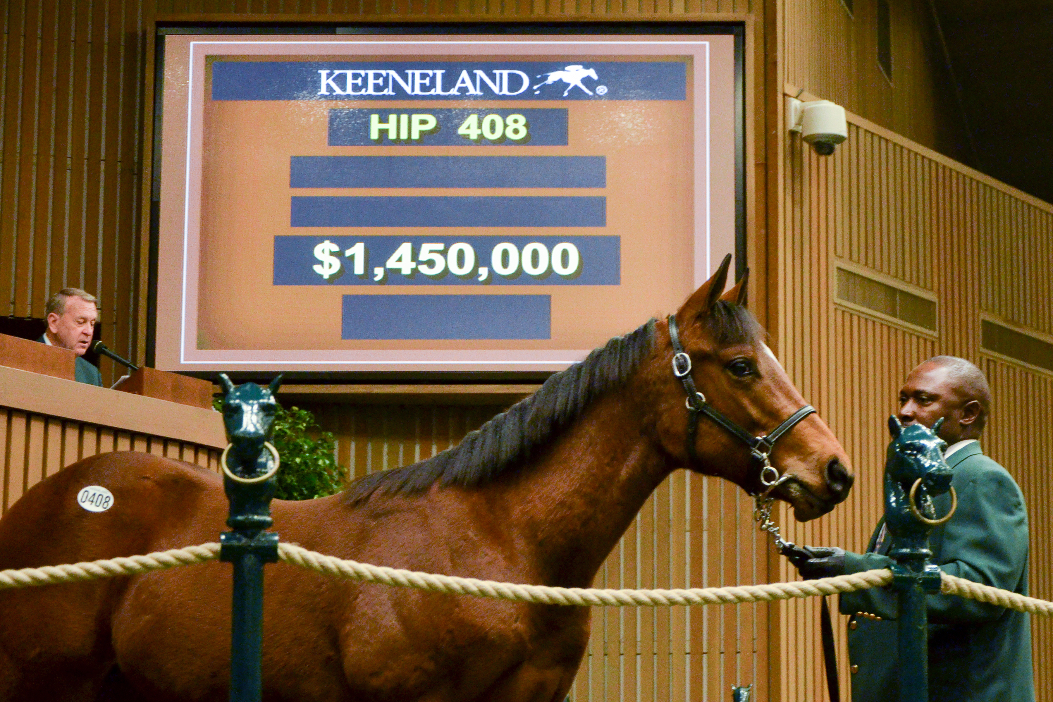 A War Front colt out of Drifting Cube sold for $1.45 million