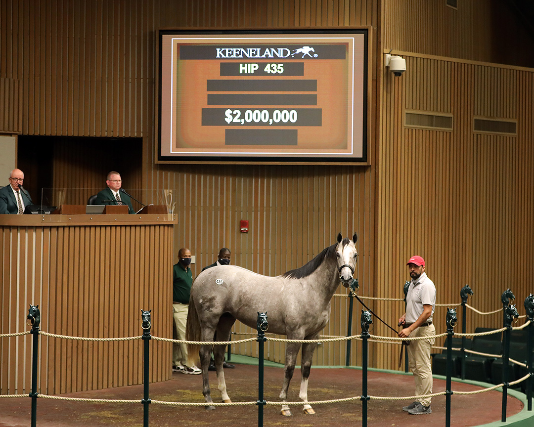 Tapit-Tara's Tango colt sells for $2 million at Keeneland September yearling sale