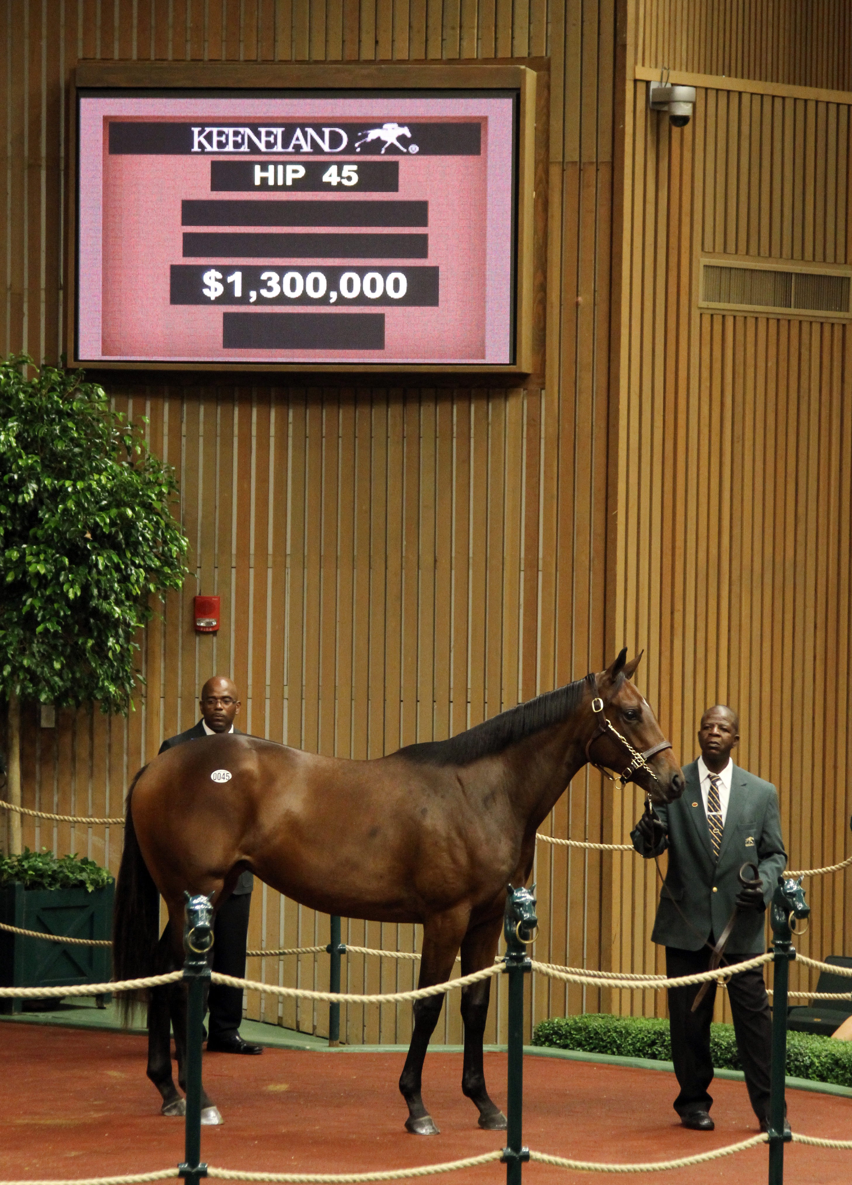 Keeneland sale notes: Untouched Talent filly sells for $1.3 million
