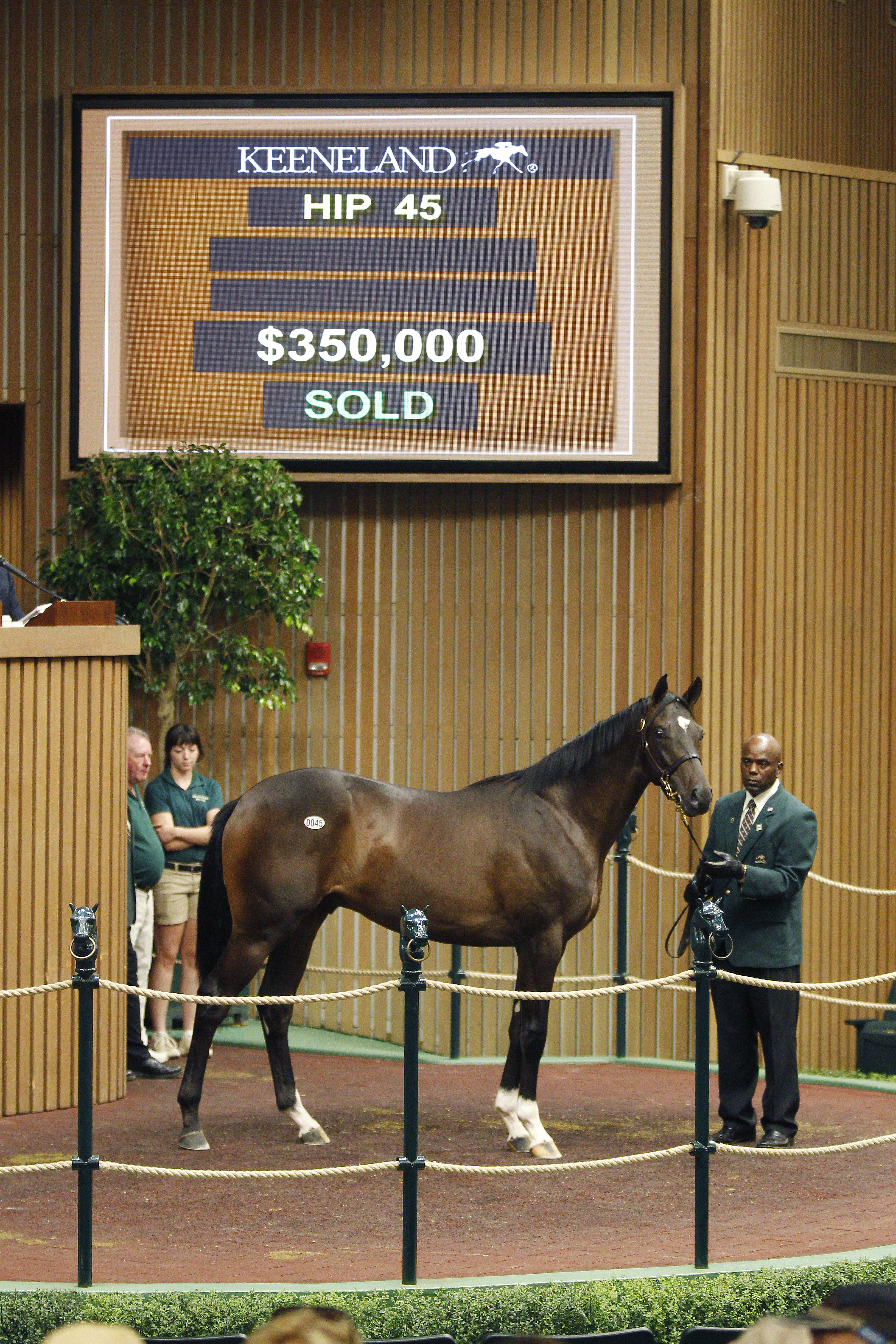Always Dreaming sold at the 2015 Keeneland September Yearling Sale