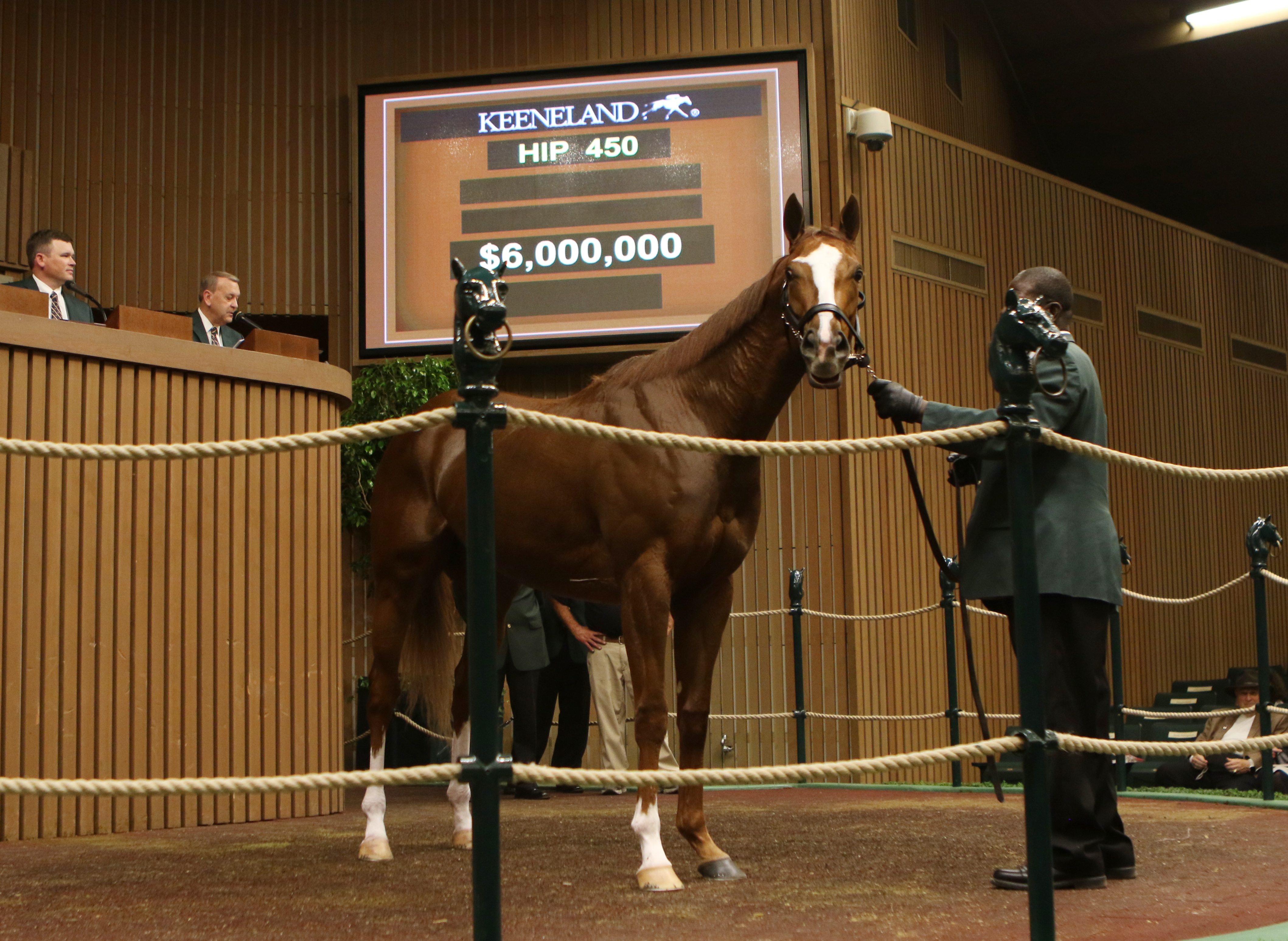 Pope buys Tapit colt for $2.1 million