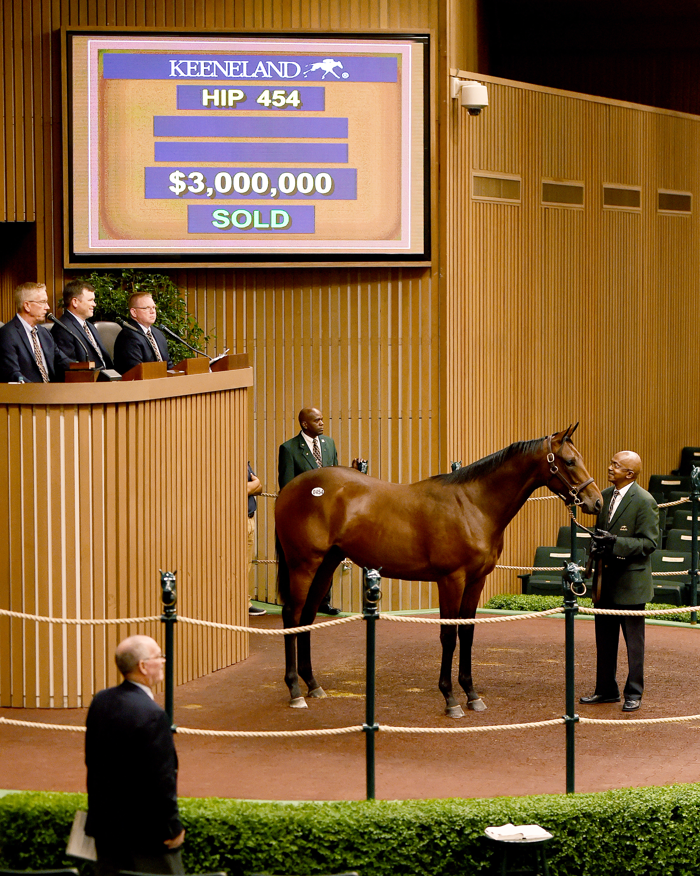 Hip454 Keeneland September Yearling sale