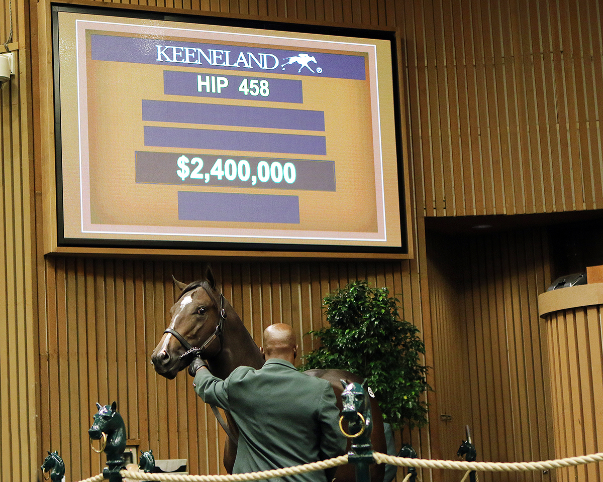 Hip 458 Keeneland September Yearling Sale 2018