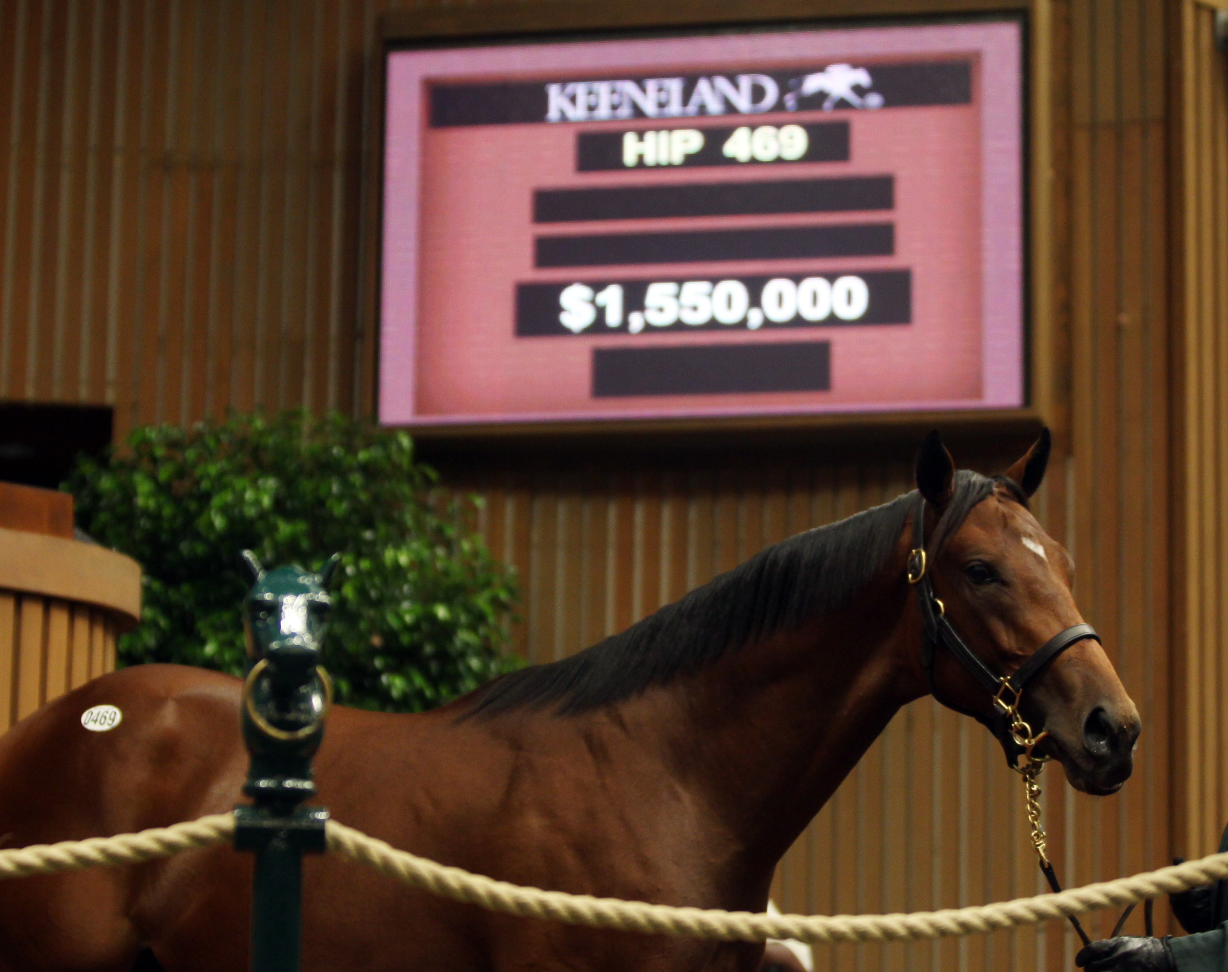 Keeneland September sale Day 3 topper