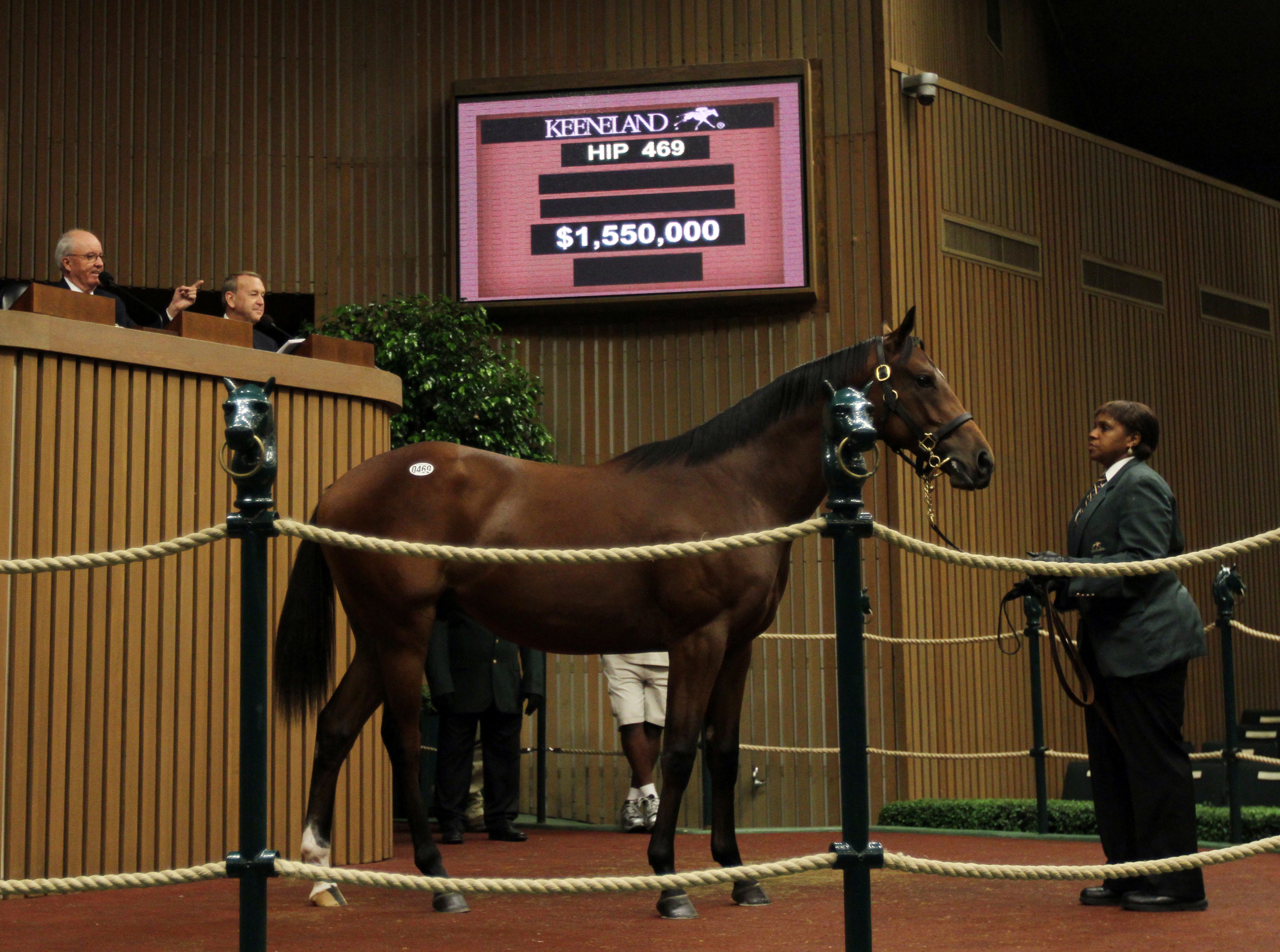 Keeneland sale $1.55 million Bernardini colt