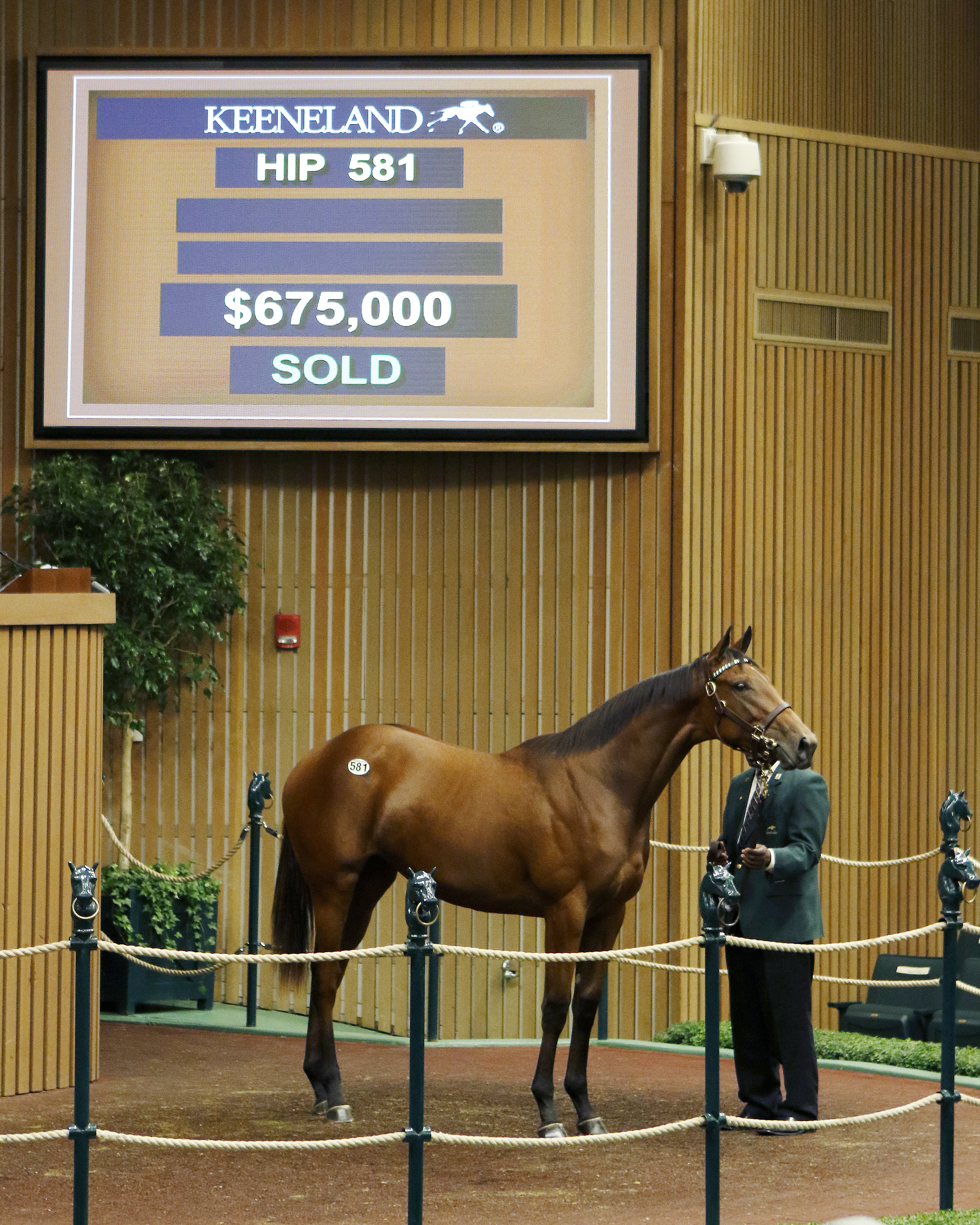 Hip 581 sold for $675,000 at the Keeneland September Yearling Sale
