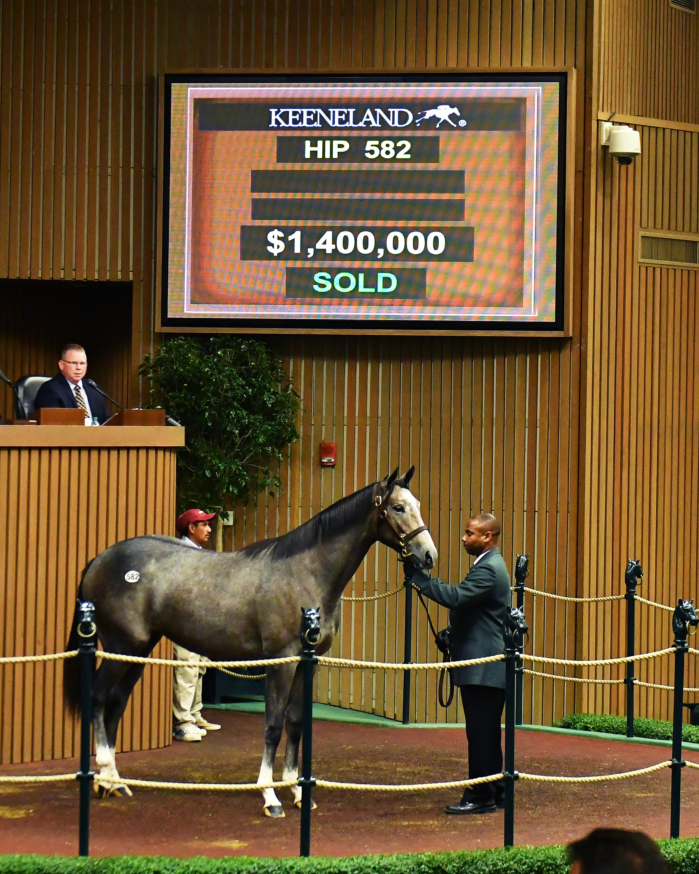 Hip 582, a Tapit/Quiet Giant filly, sold for $1.4 million