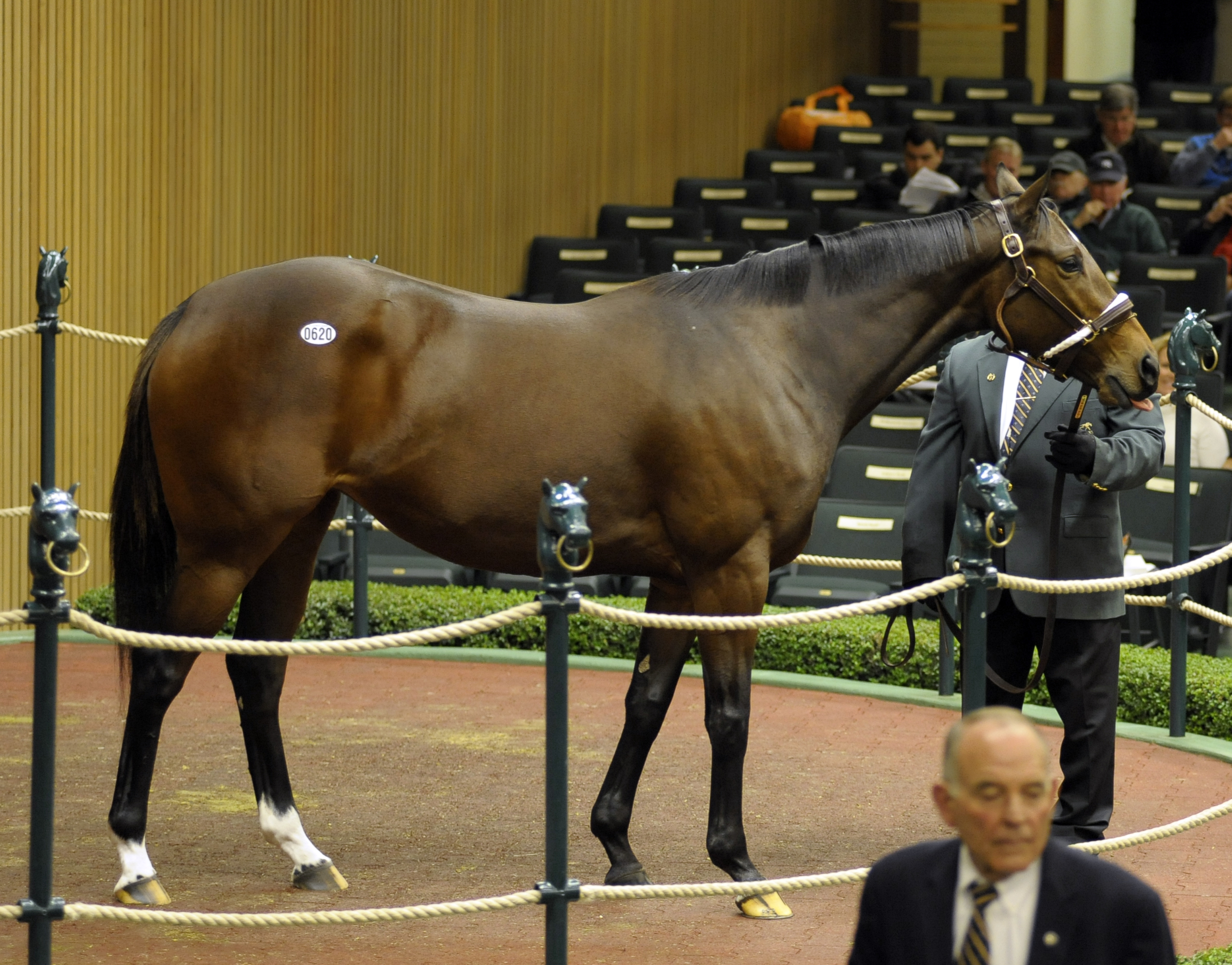 Oui Say Oui sells at Keeneland