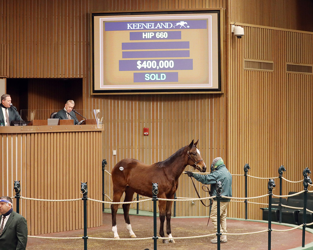 Keeneland January Horses of All Ages Sale