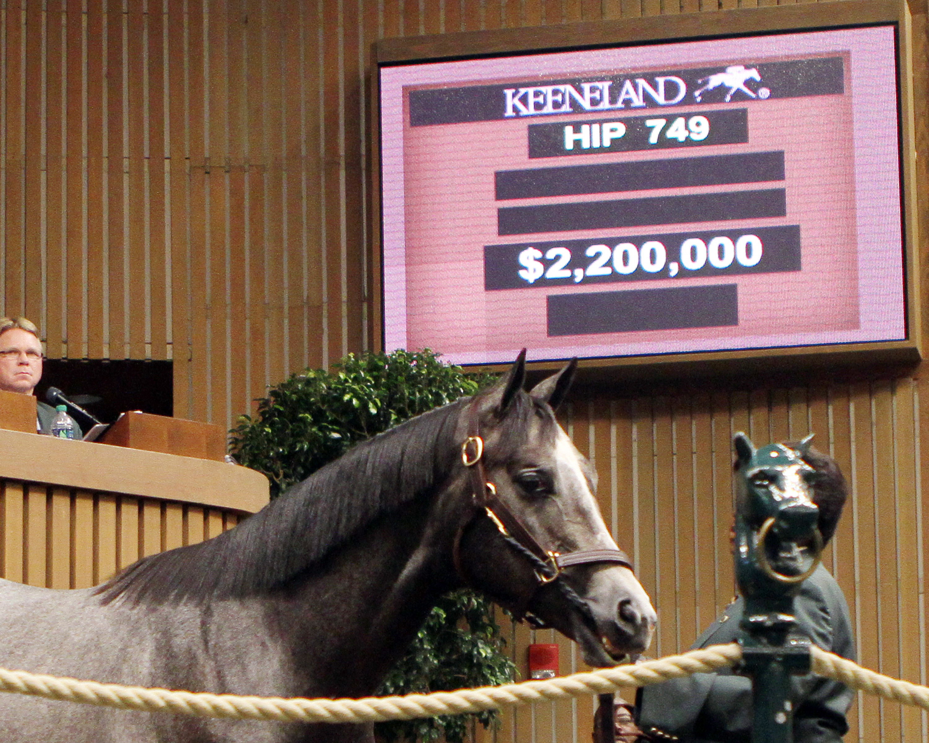 Mohaymen sells for $2.2 million at the 2014 Keeneland September Sale