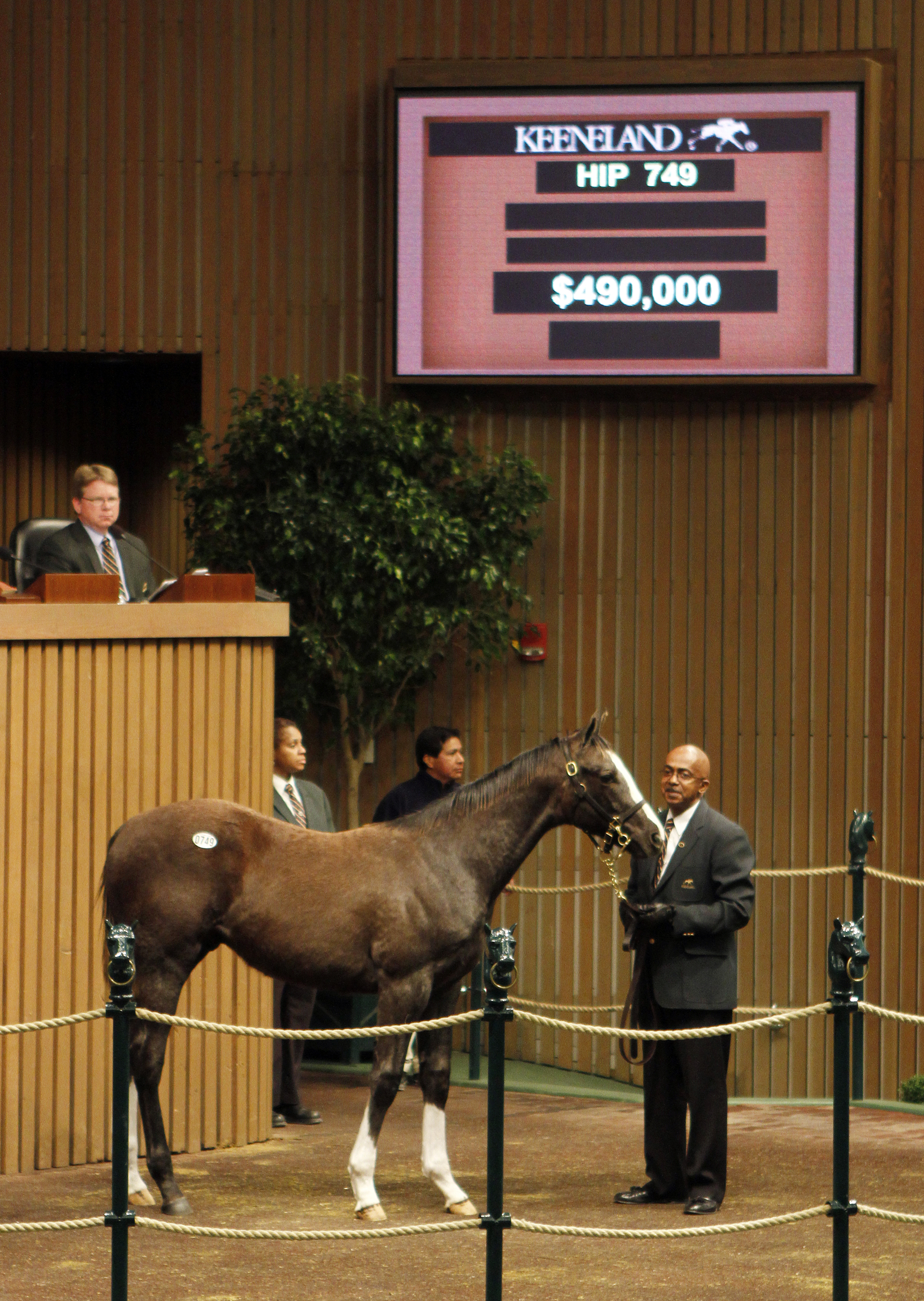 Candy Ride yearling colt brings $140,000 at Keeneland January sale