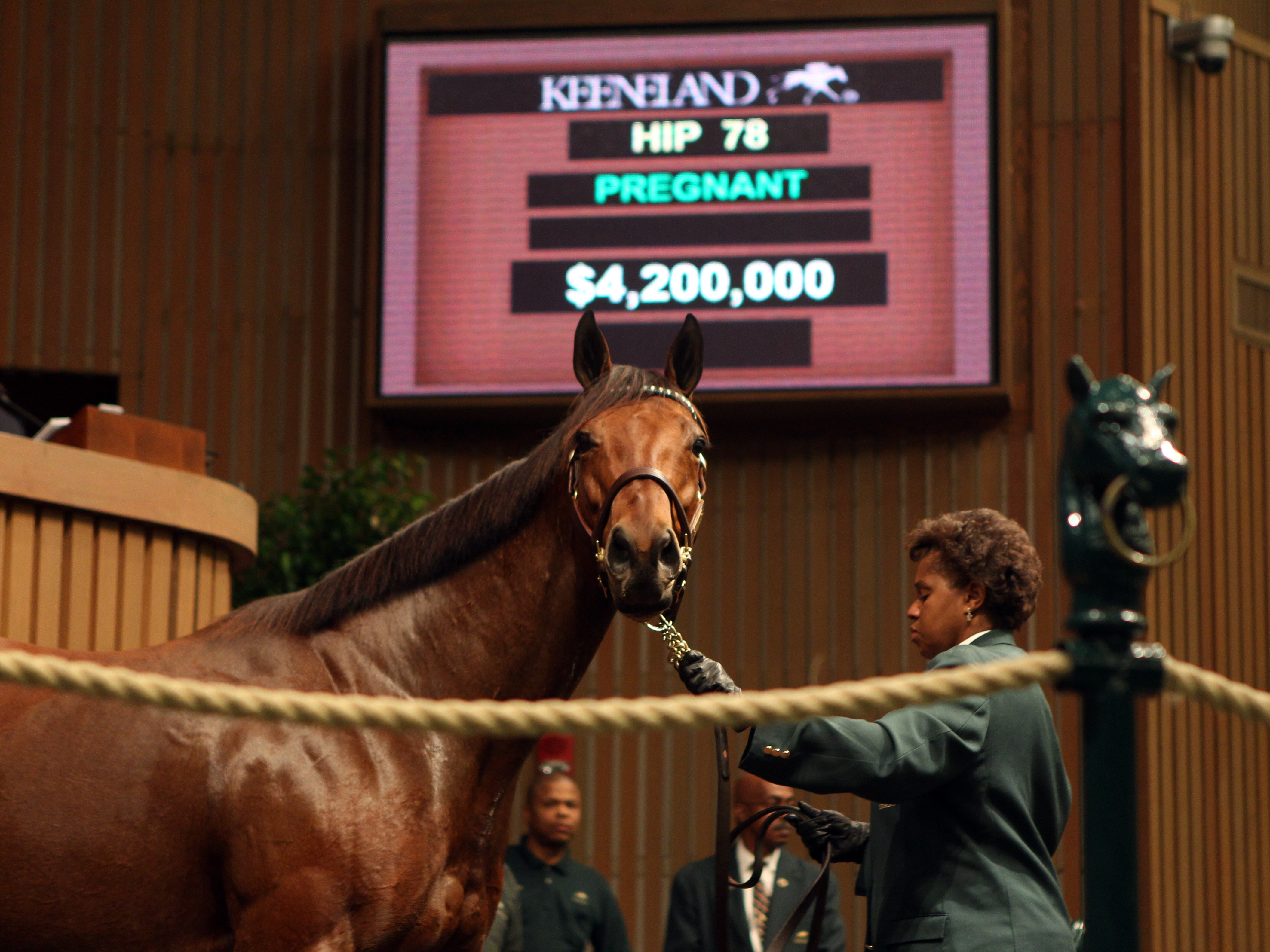 Christmas Kid/Keeneland sale