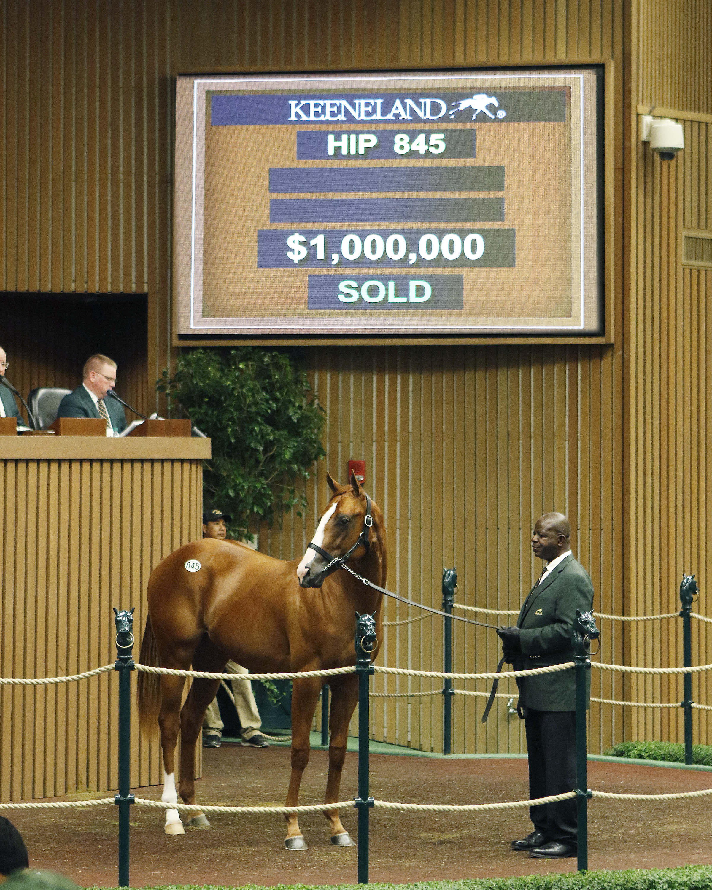 Keeneland 2016 Yearling sale - Good Magic