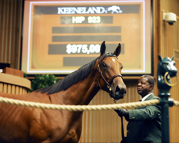 Hip 923, an American Pharoah filly out of Momentary Magic, sells for $975,000