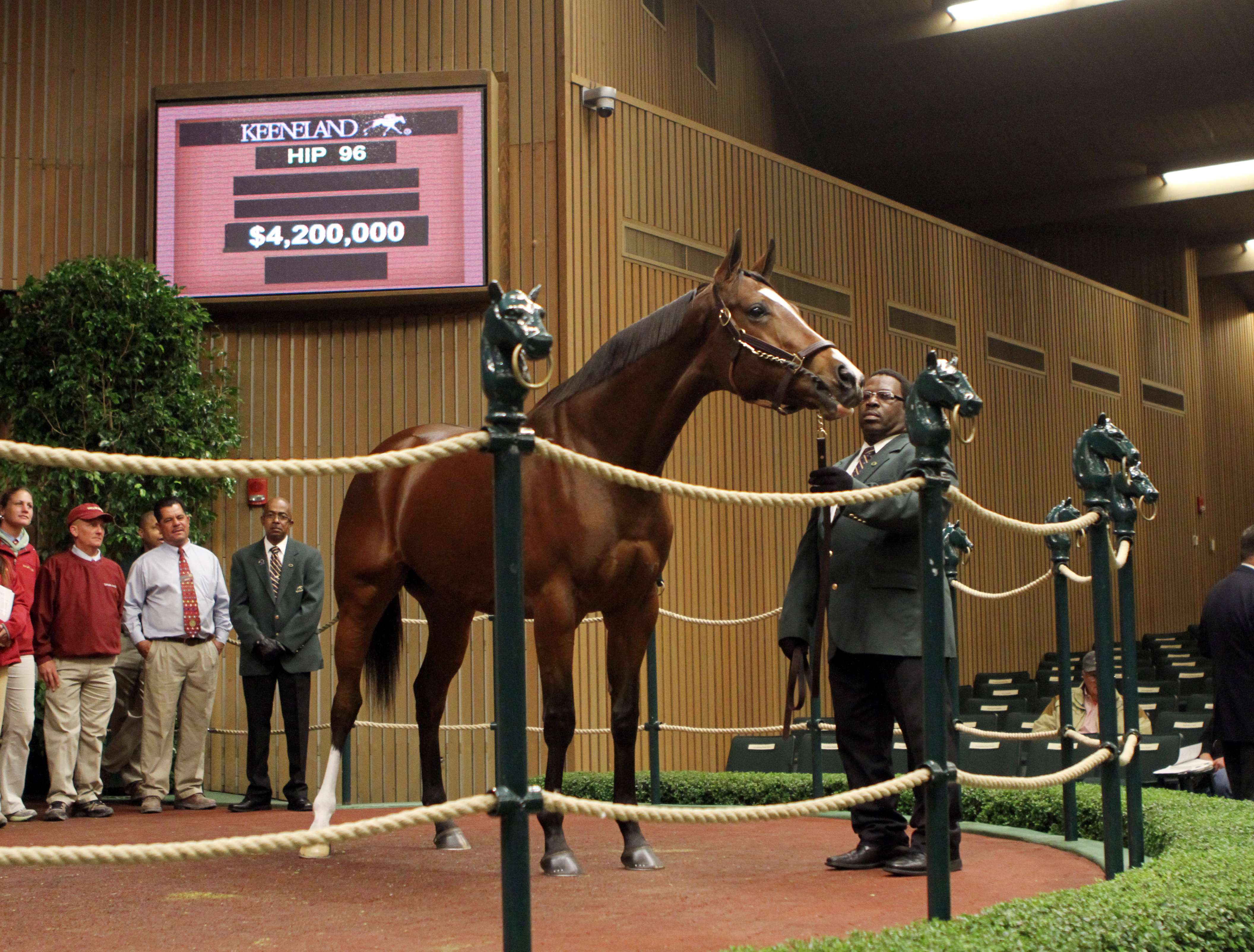 Keeneland November: Mandy Pope strikes again, buys Plum Pretty for $4.2 million