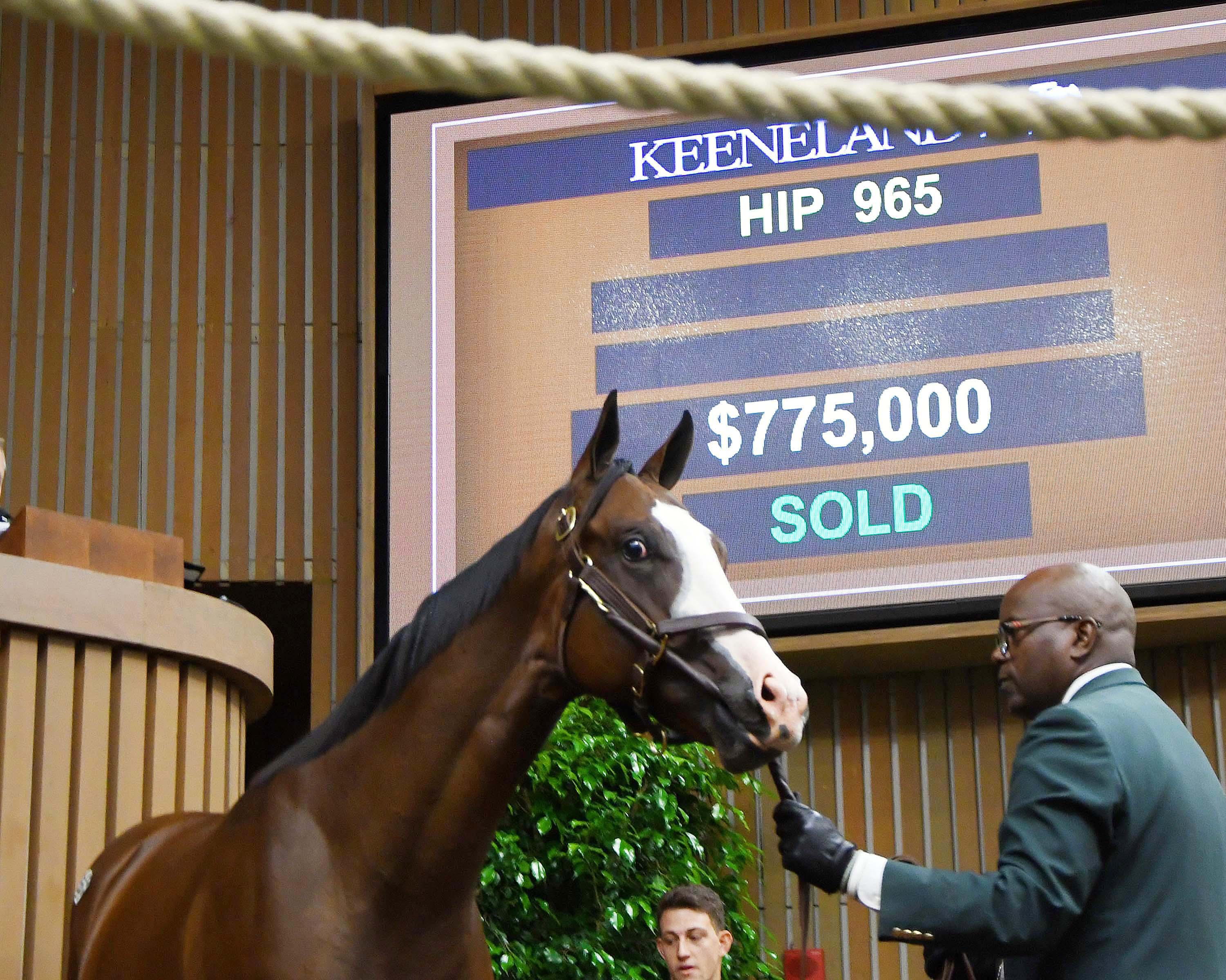 Hip 965 sells for $775,000 at the 2017 Keeneland September yearling sale