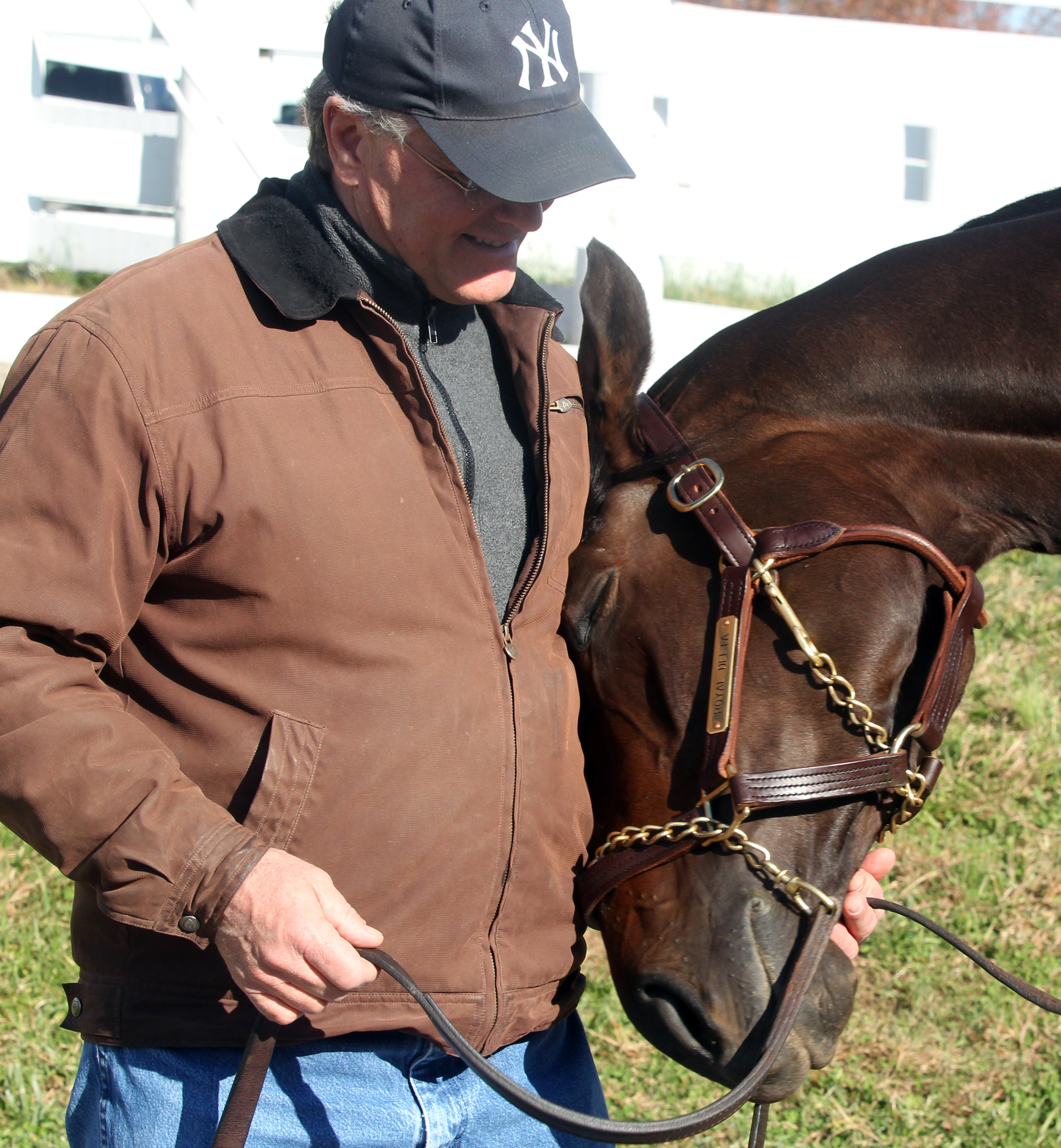 Buyers assess Breeders' Cup's effect on November mixed sales