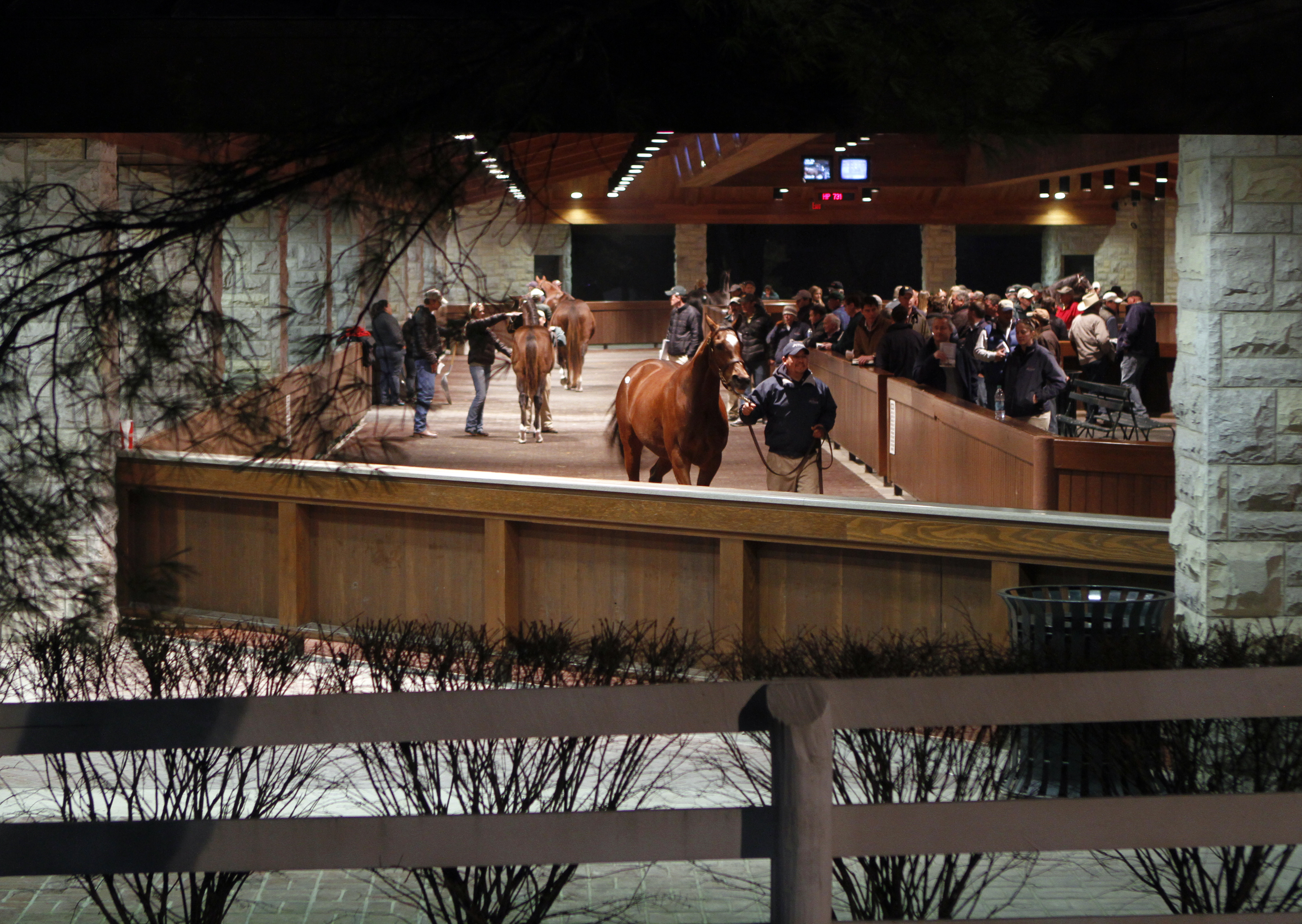 Keeneland January Sale 2012