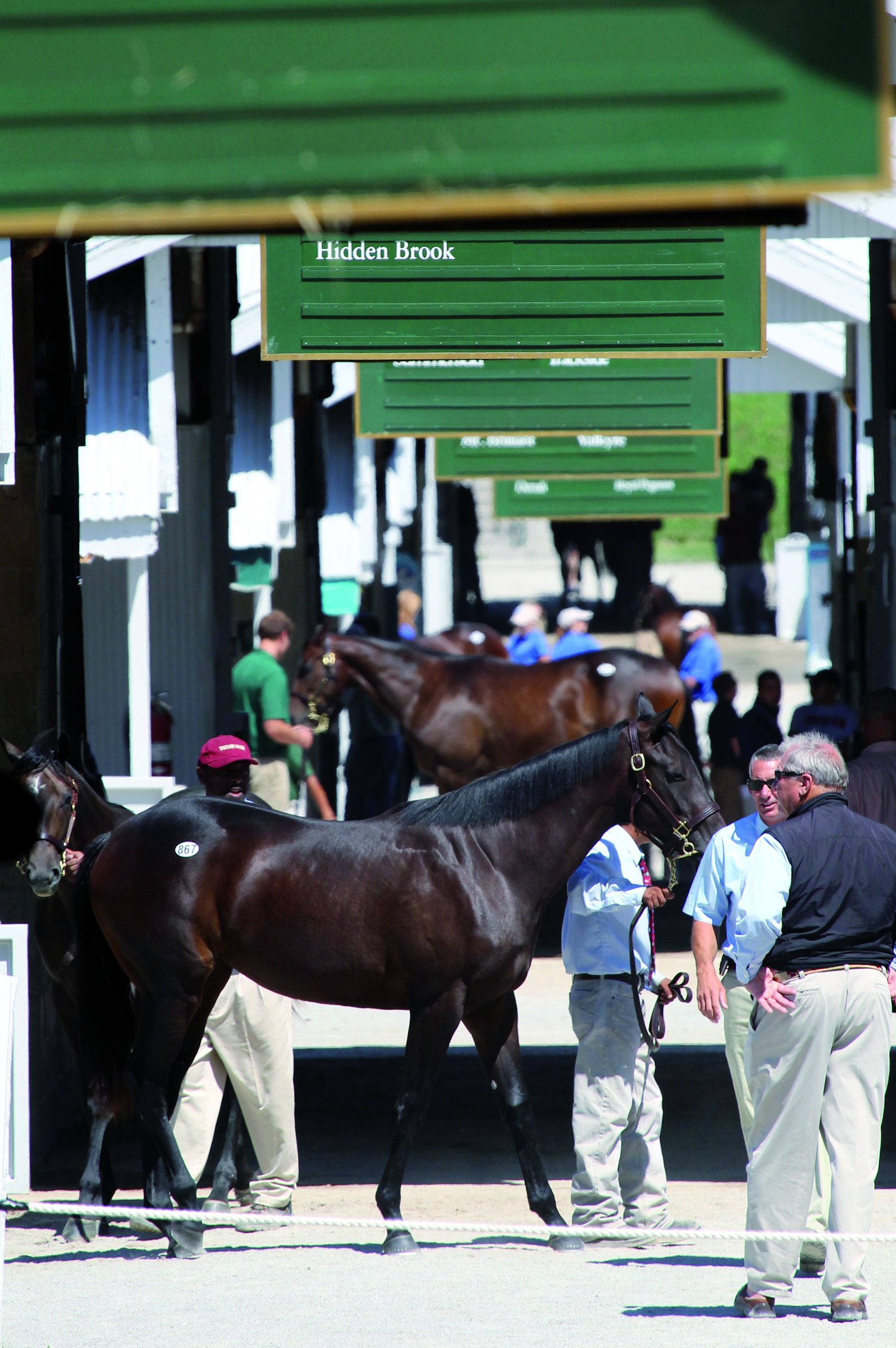 KeenelandScenicPreview