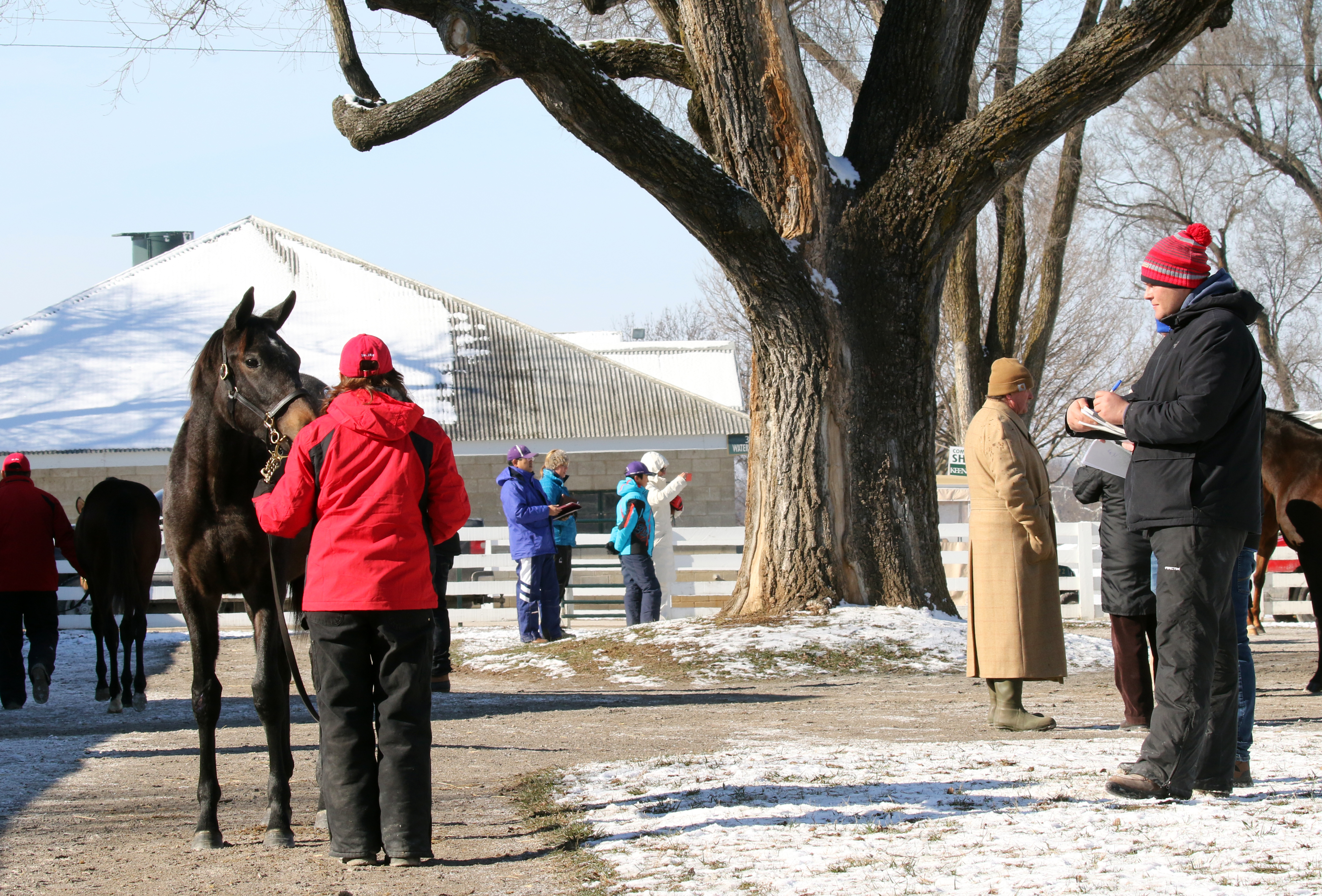 Keeneland January sale