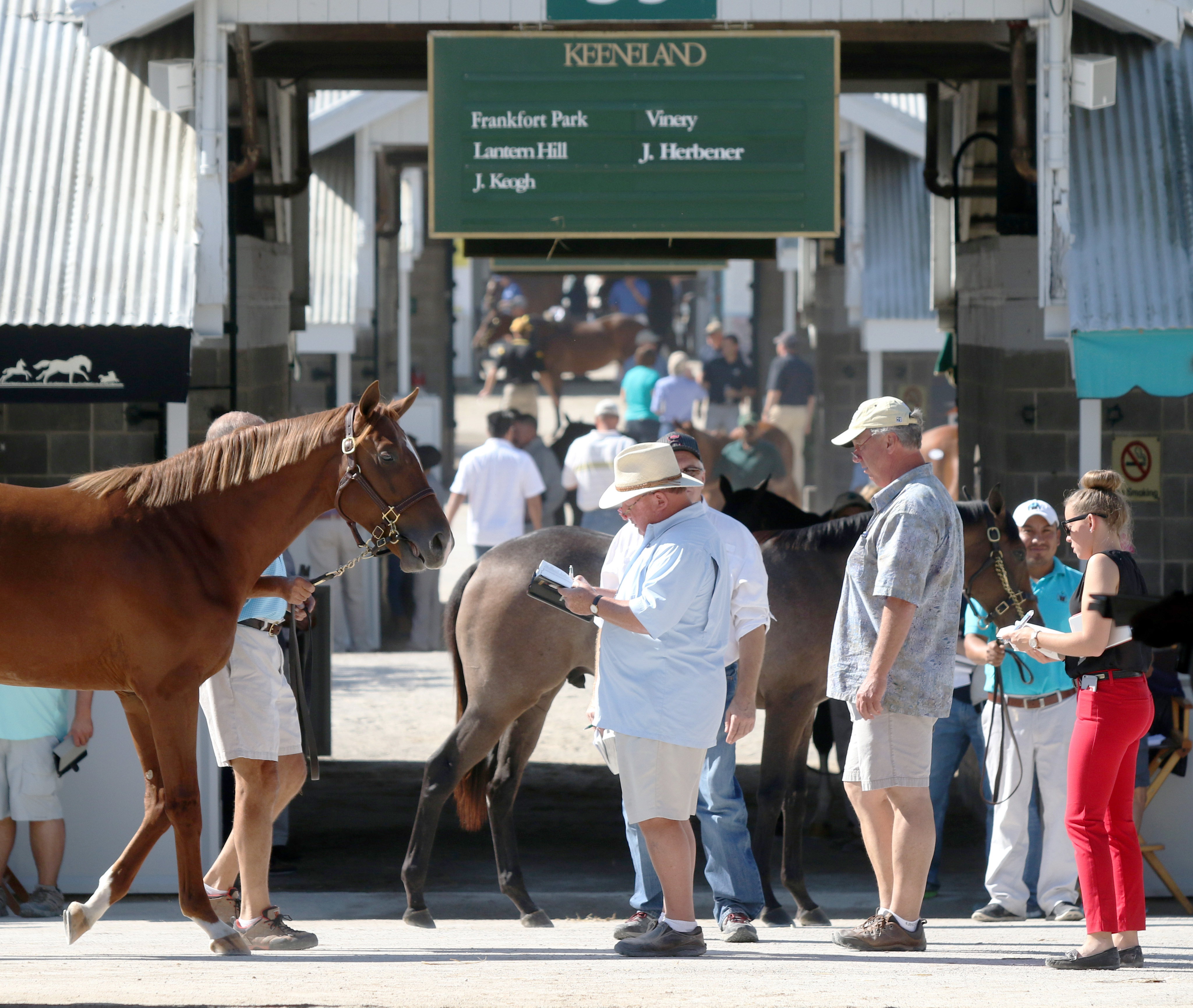 2015 Keeneland Yearling Sale