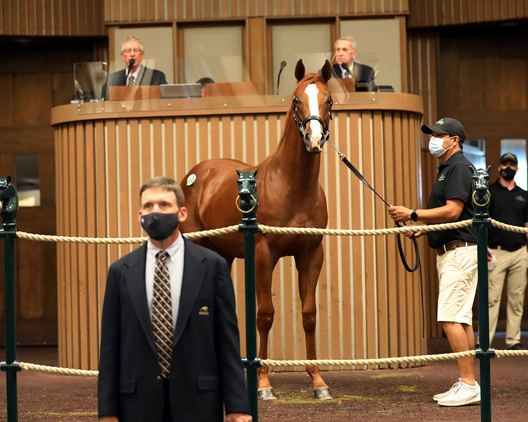 Keeneland September yearling sale