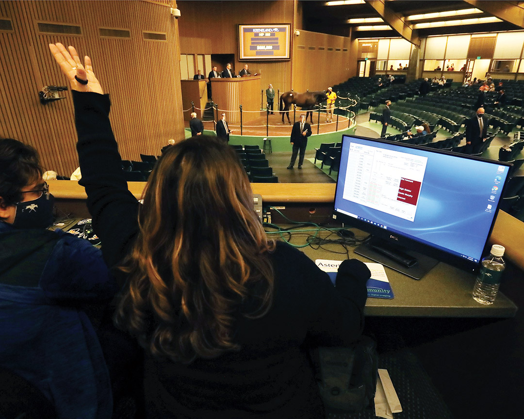 Online bidding at Keeneland's September sale
