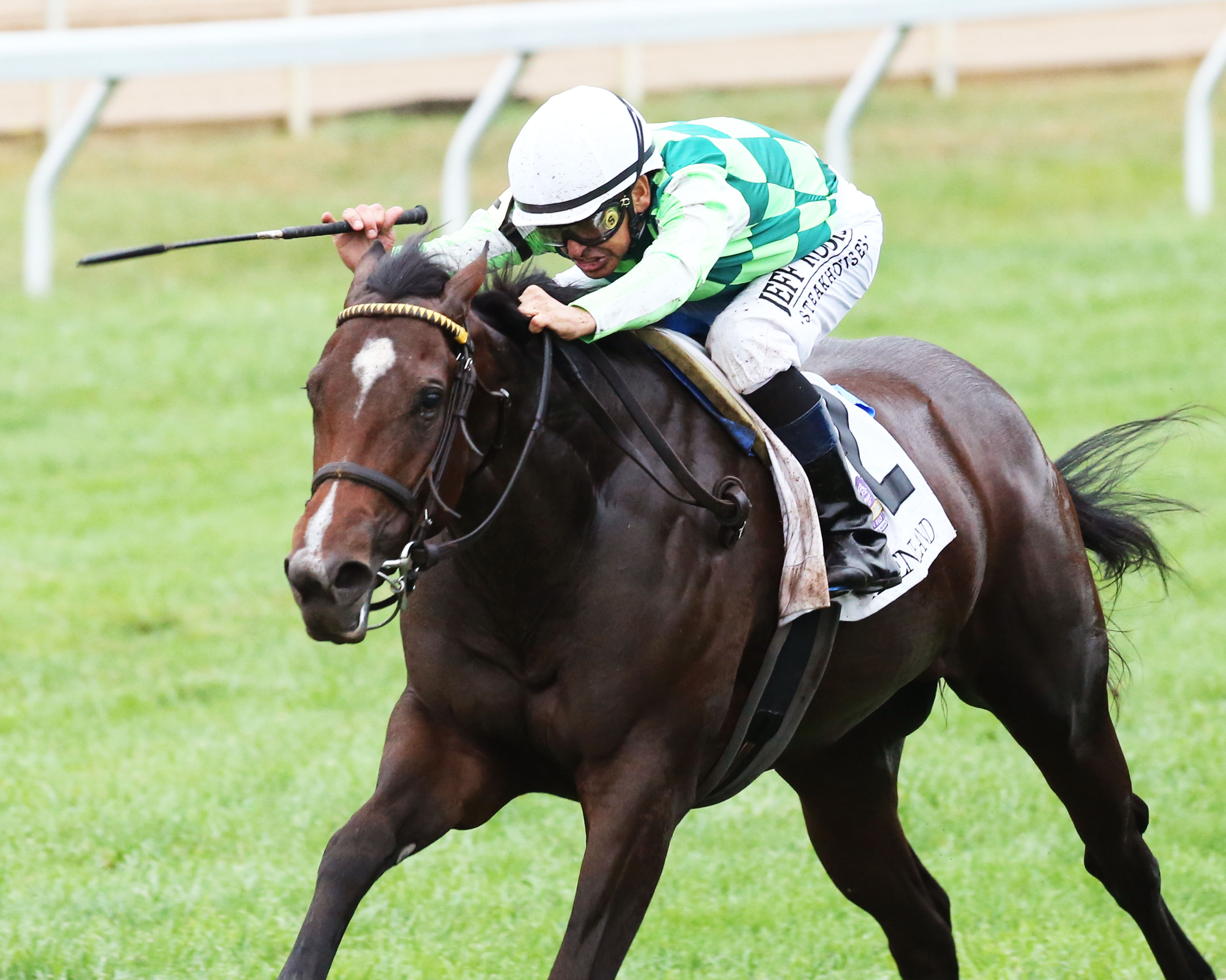 Kimari wins the 2019 Indian Summer Stakes