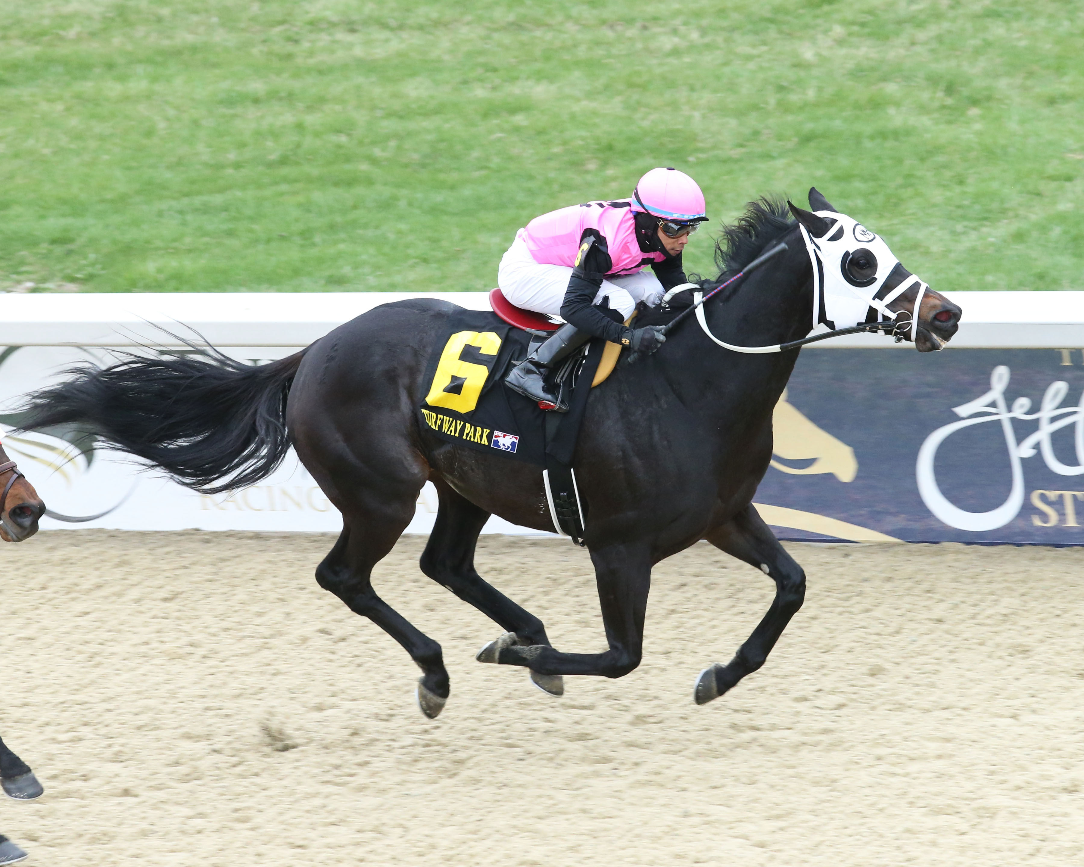 King Cause/Kentucky Cup Classic