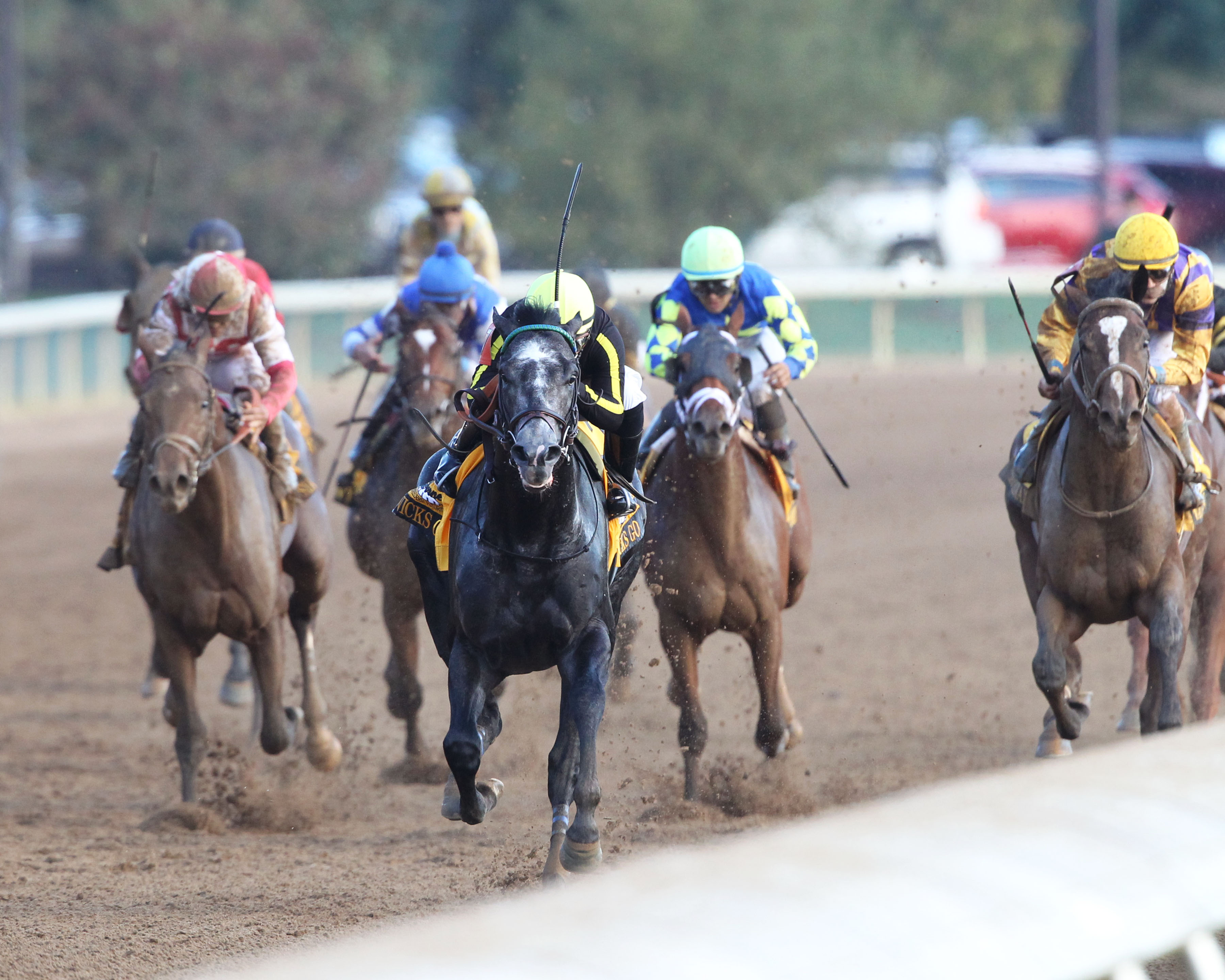 Knicks Go (center) wins the 2018 Breeders' Futurity
