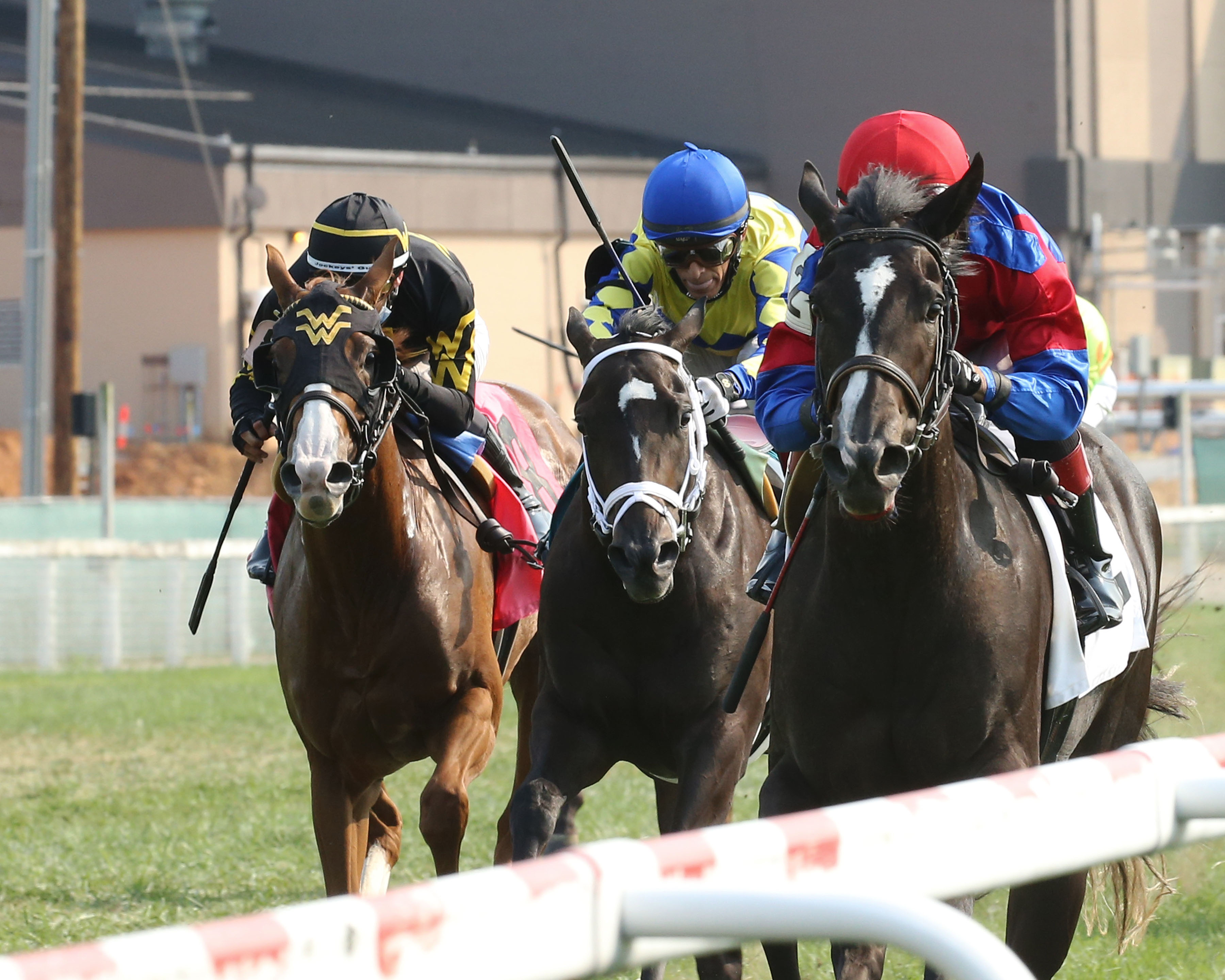 Koala Princess (right) wins Ainsworth 9-12-2021