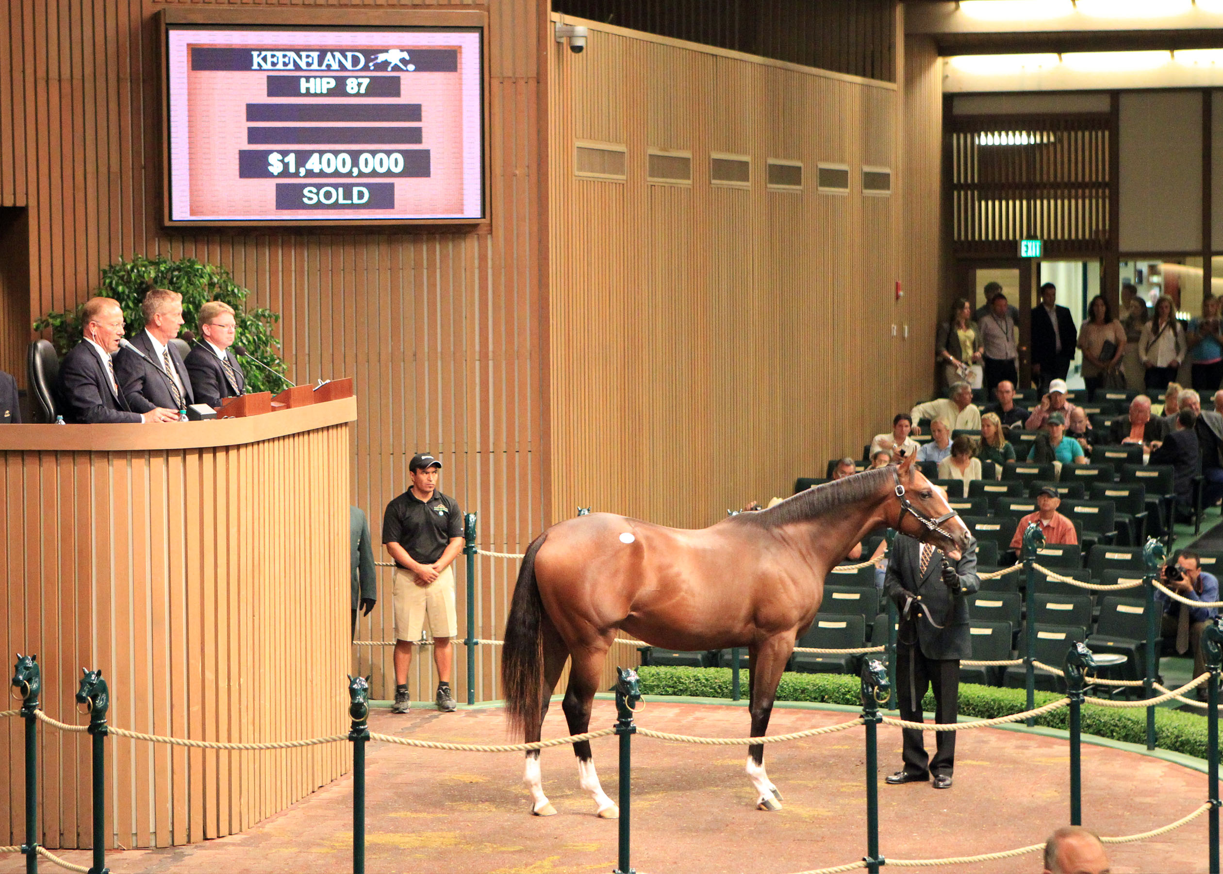 Keeneland September: A.P. Indy colt brings $1.4 million on opening night of sale