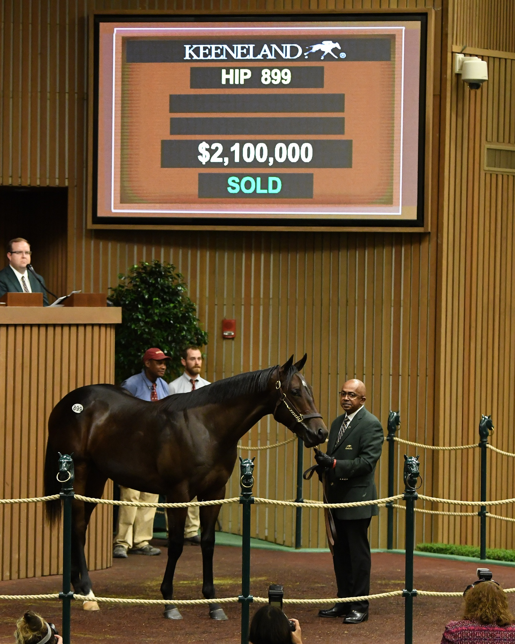 Hip 899 2018 Keeneland September sale Medaglia d-Oro-Exotic Bloom