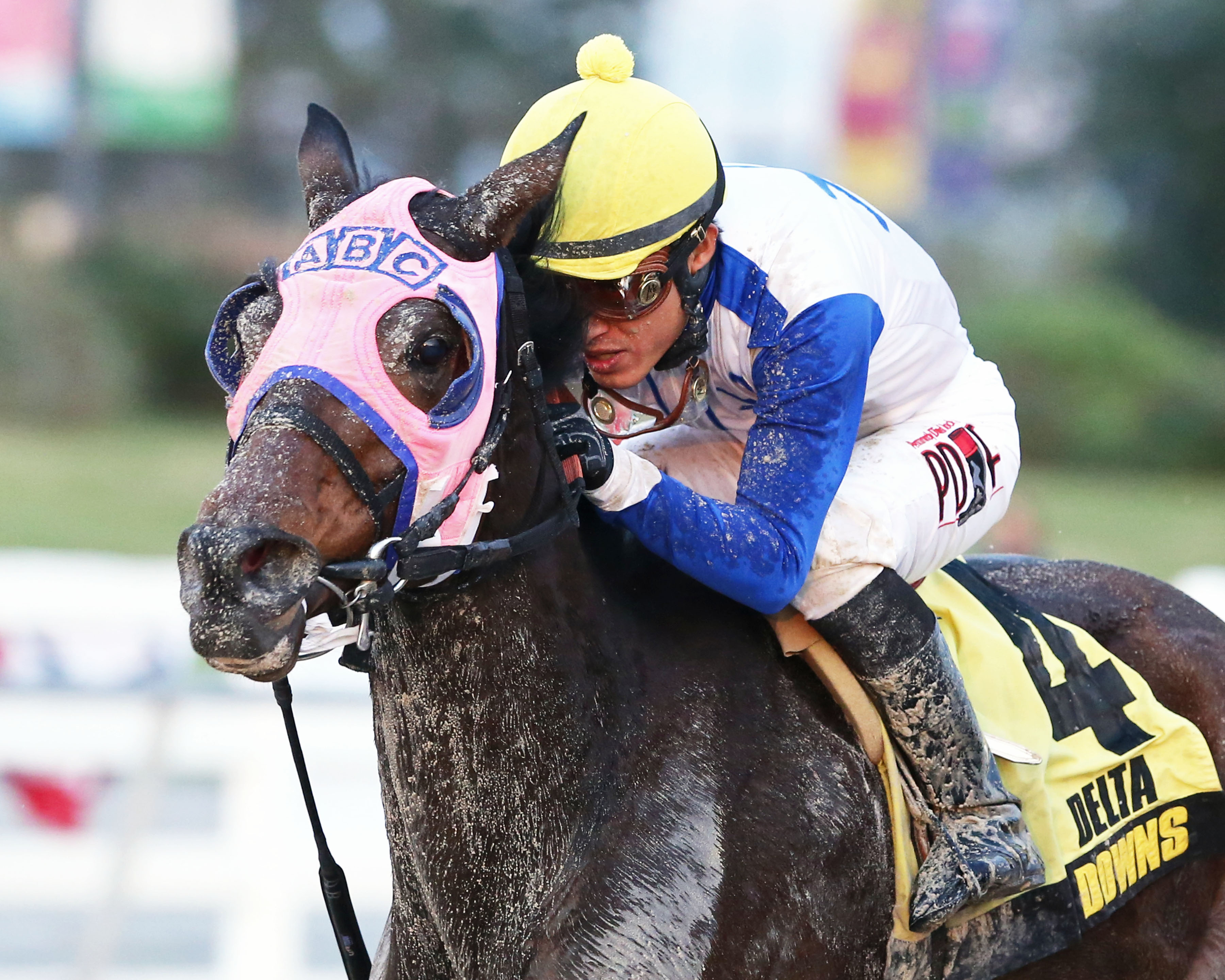 Kyriaki 11-21-2015