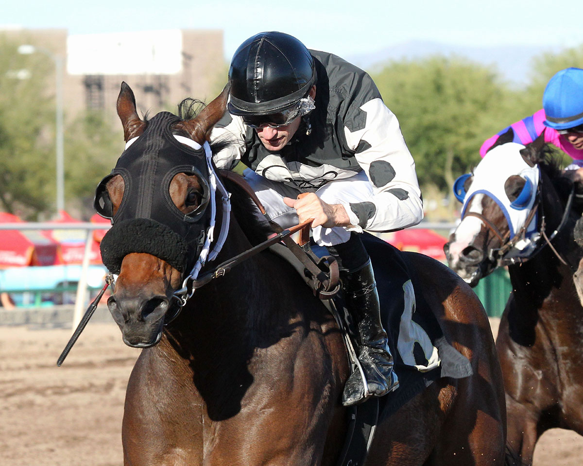Kaabraaj wins the 2017 Luke Kruytbosch Stakes