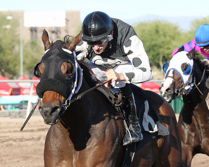 Kaabraaj wins the 2017 Luke Kruytbosch Stakes