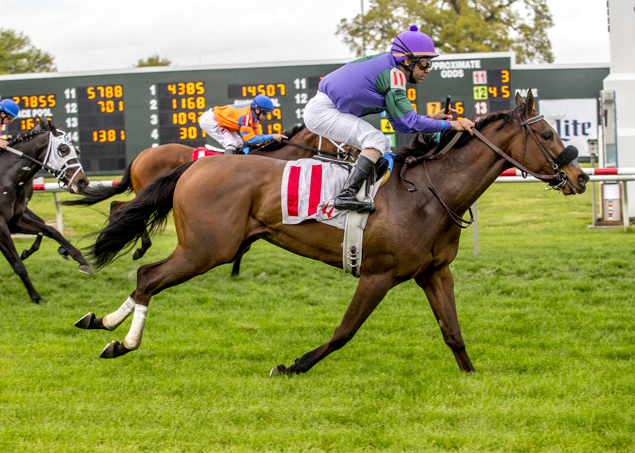 Kabella wins the 2018 Allen LaCombe Memorial Stakes