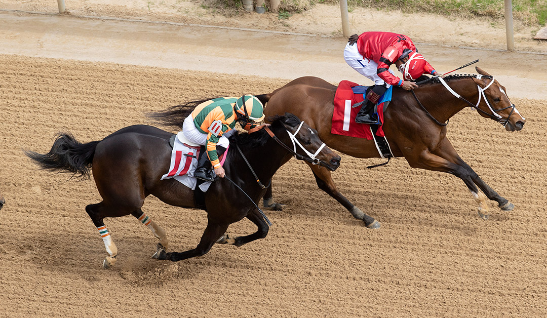 Kadri (11) finishes second in a March 13 allowance at Oaklawn Park
