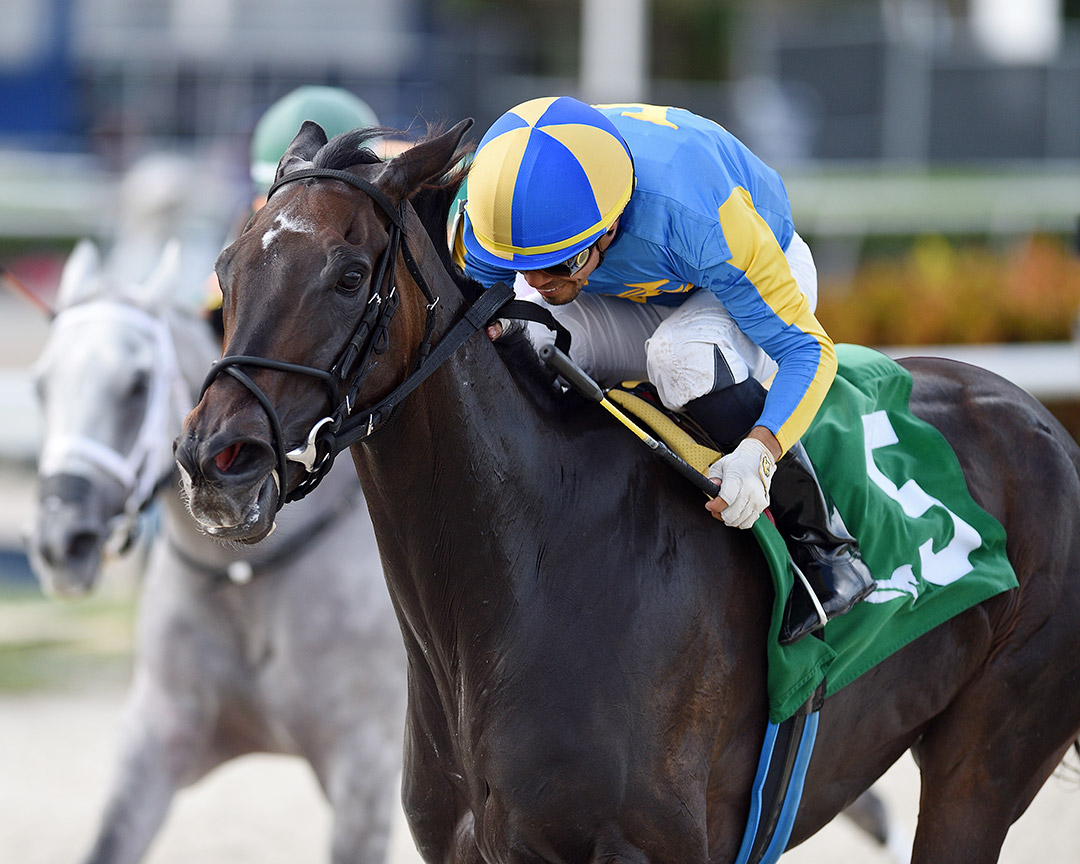 Kahiko wins an Oct. 24 allowance at Gulfstream Park
