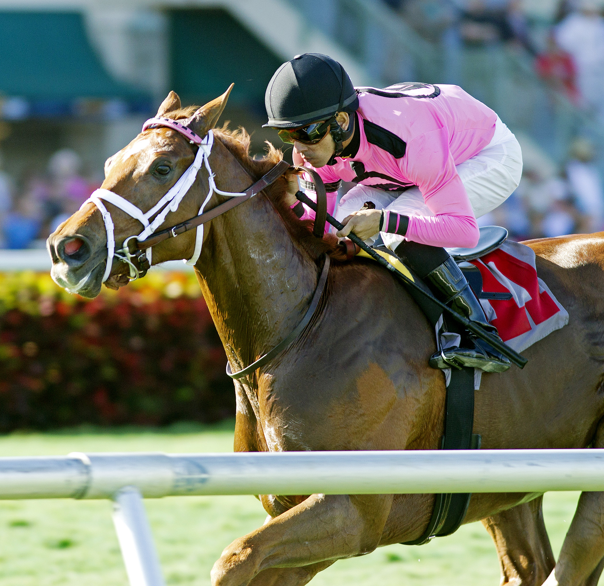 Kaigun wins an optional claimer
