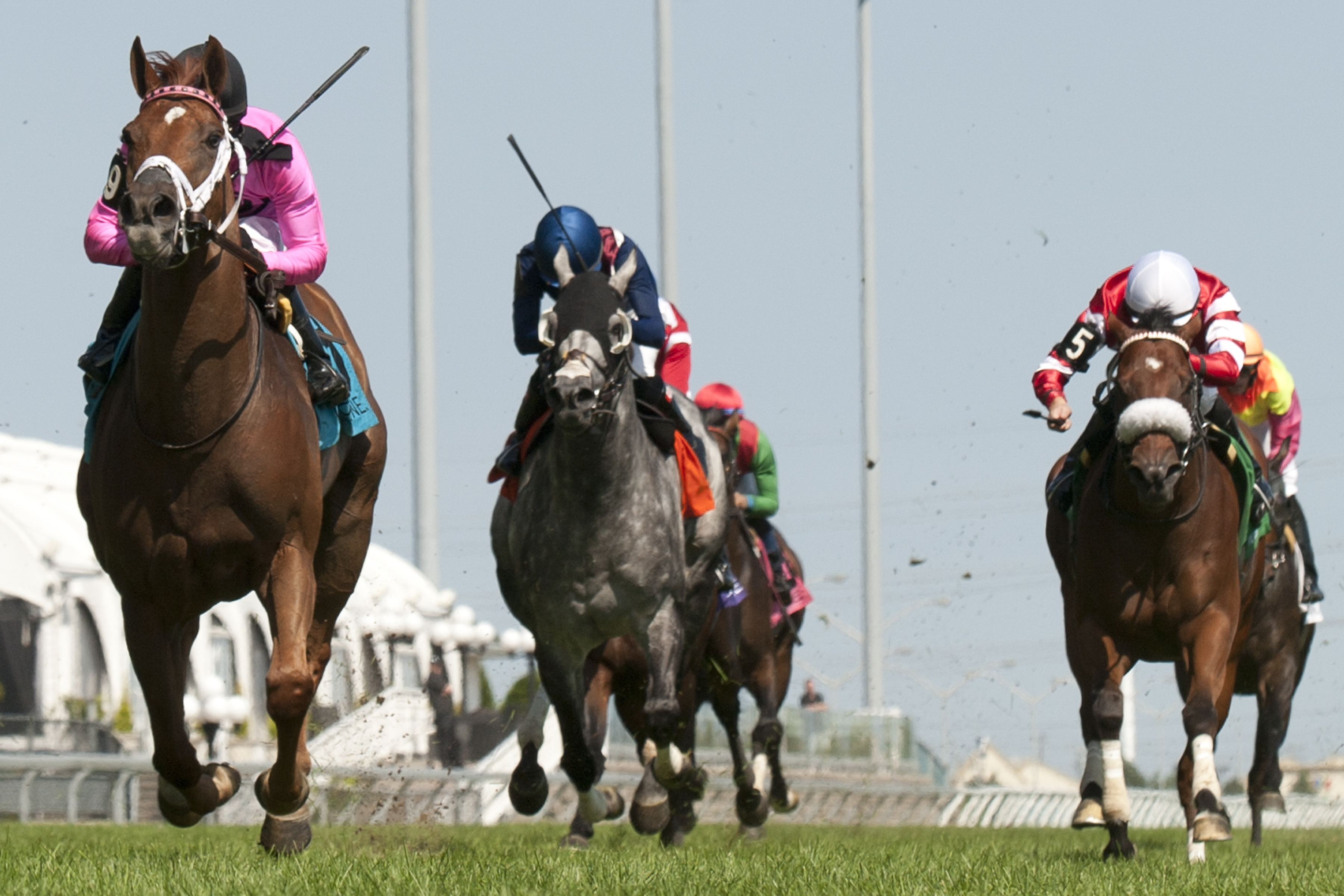 Kaigun wins 2014 Play the King