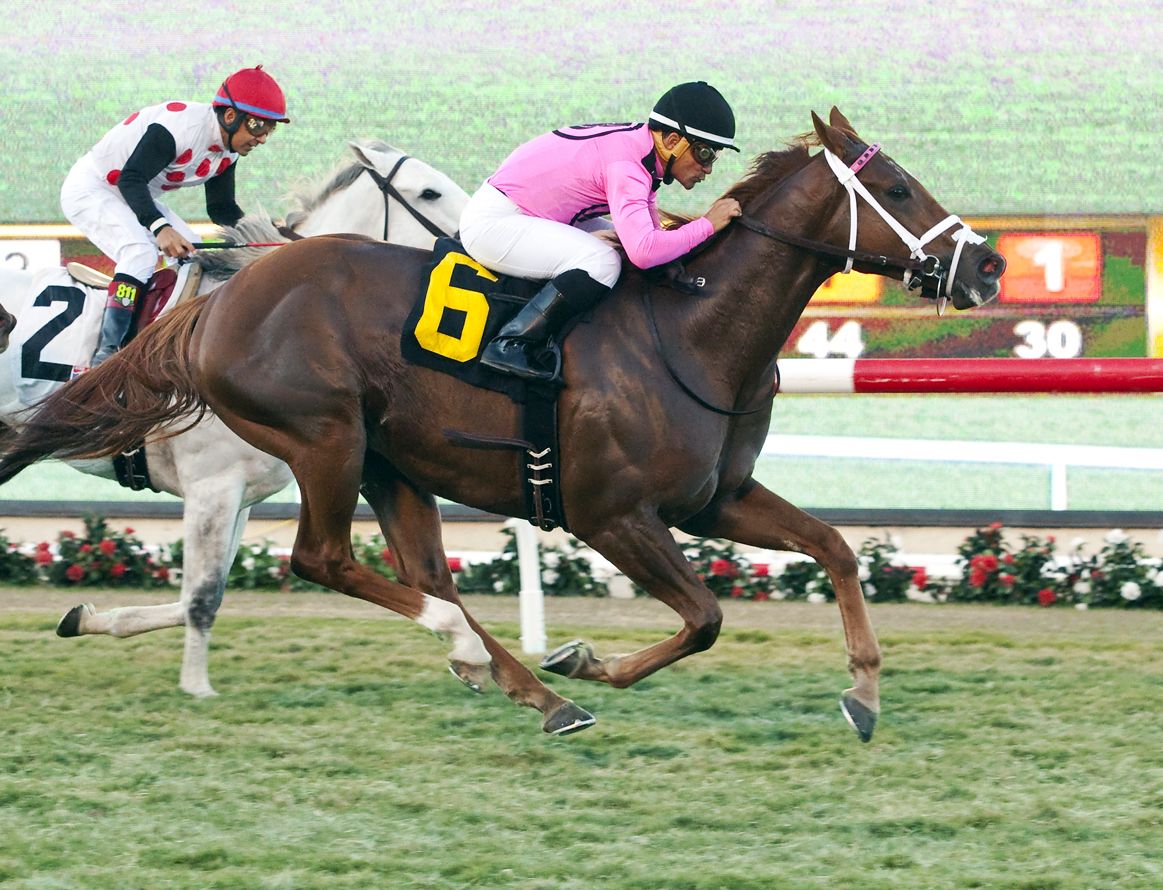 Kaigun wins the Seabiscuit Handicap