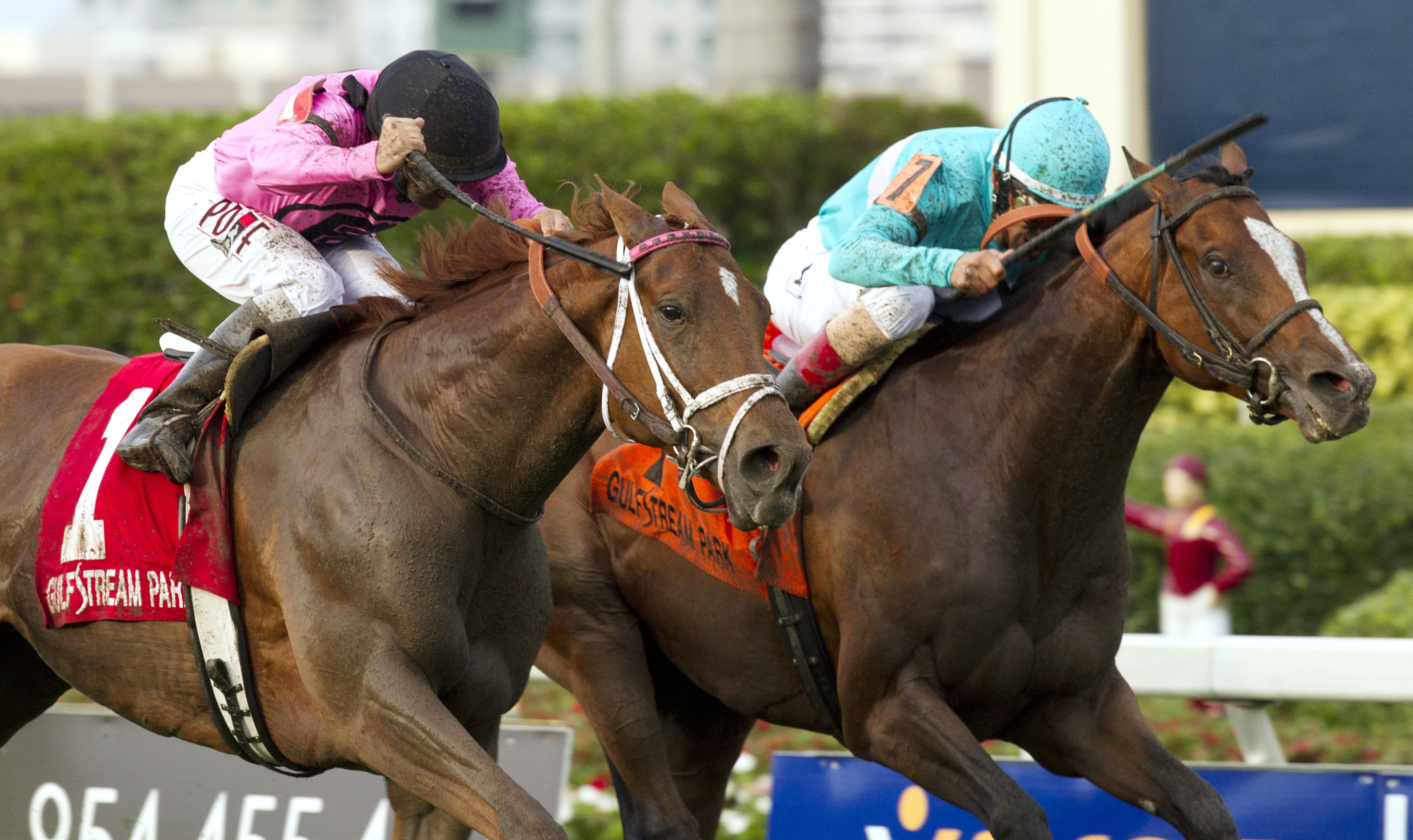 Kaigun wins the Pan American Stakes