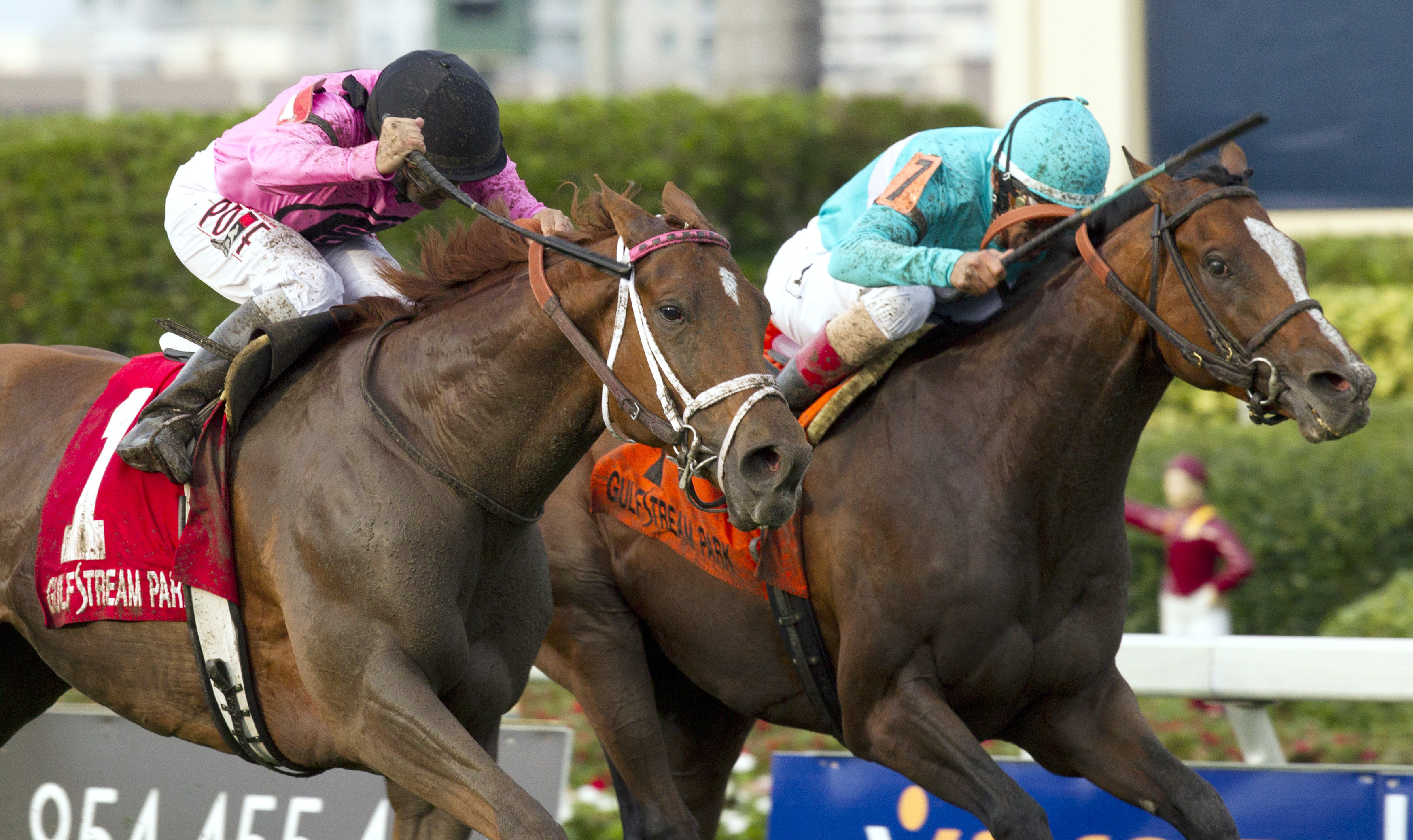 Kaigun wins the Pan American Stakes