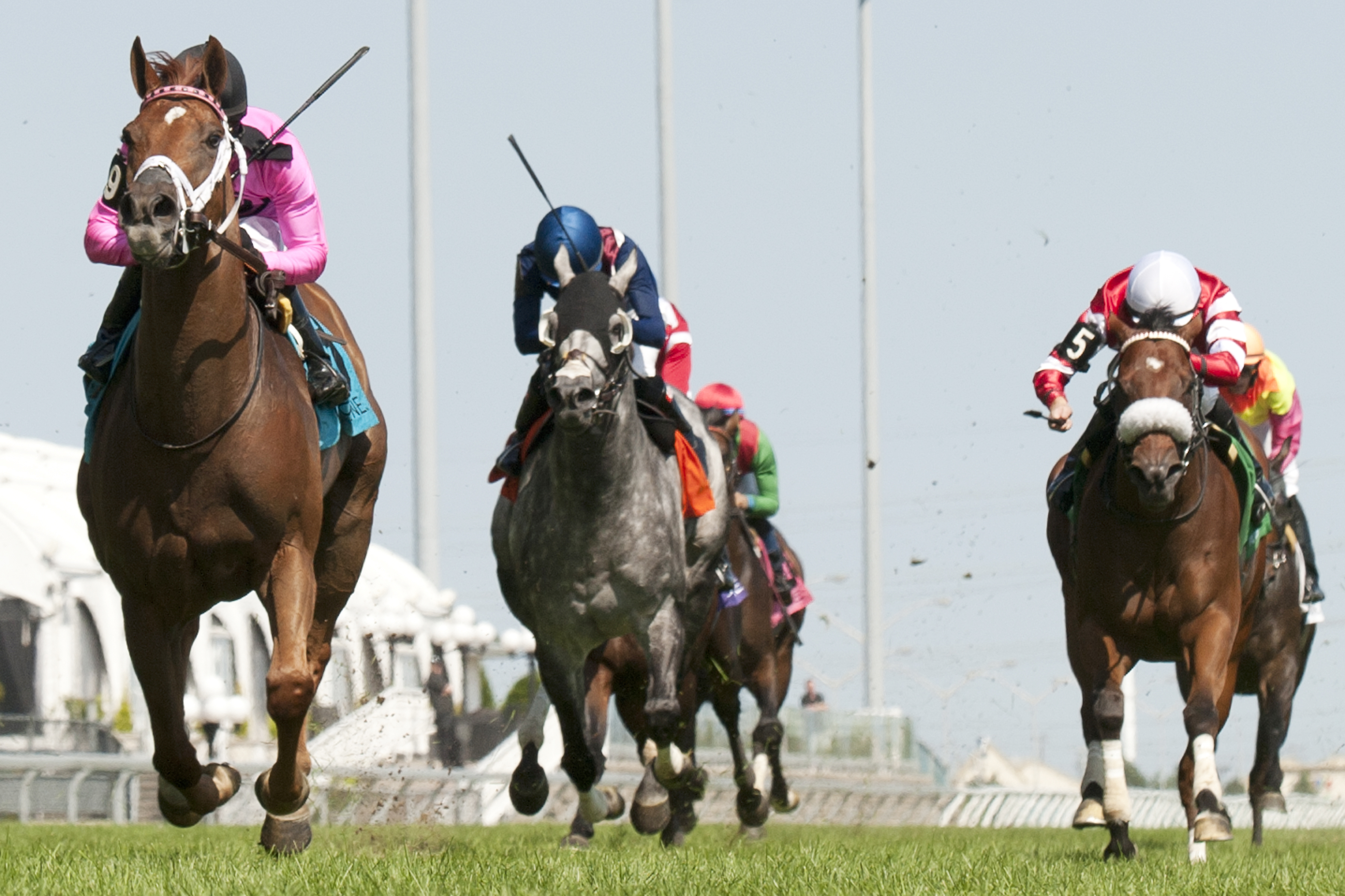 Kaigun wins the 2014 Play the King Stakes